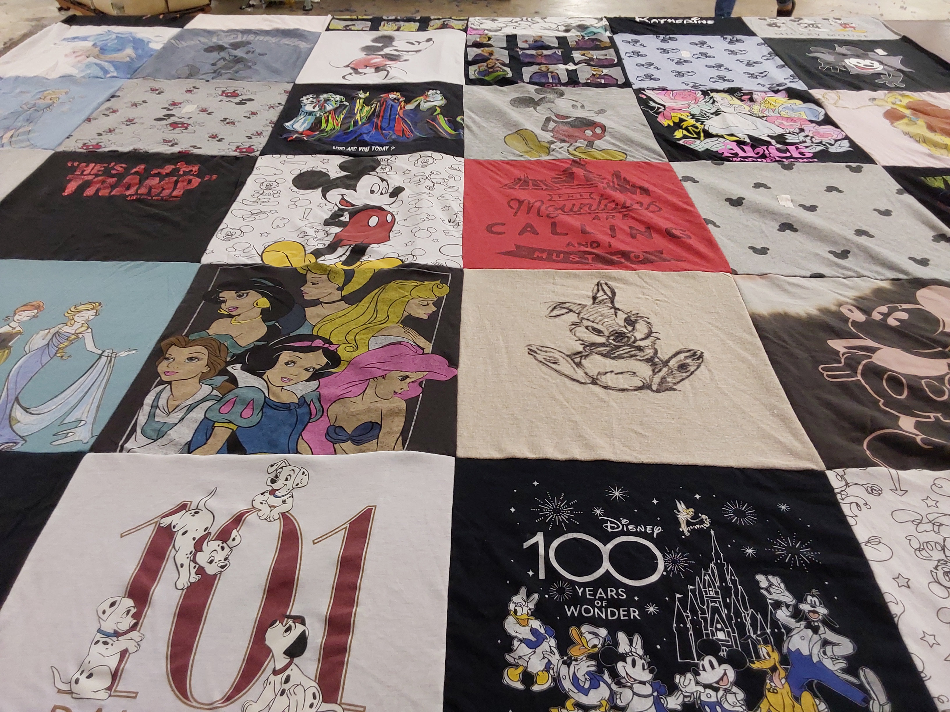 T-shirt quilt with disney, animation themes by Diana from CA