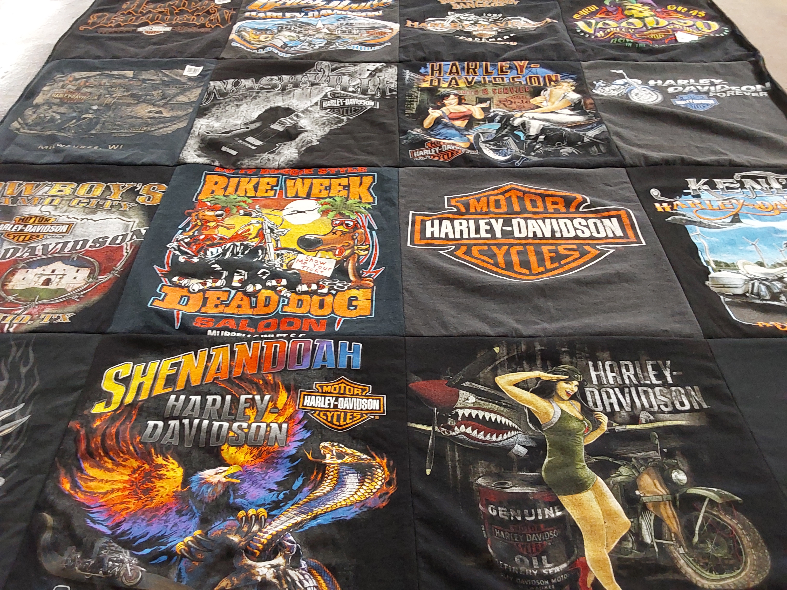 T-shirt quilt with motorcycles, biking themes by Cindy from NC