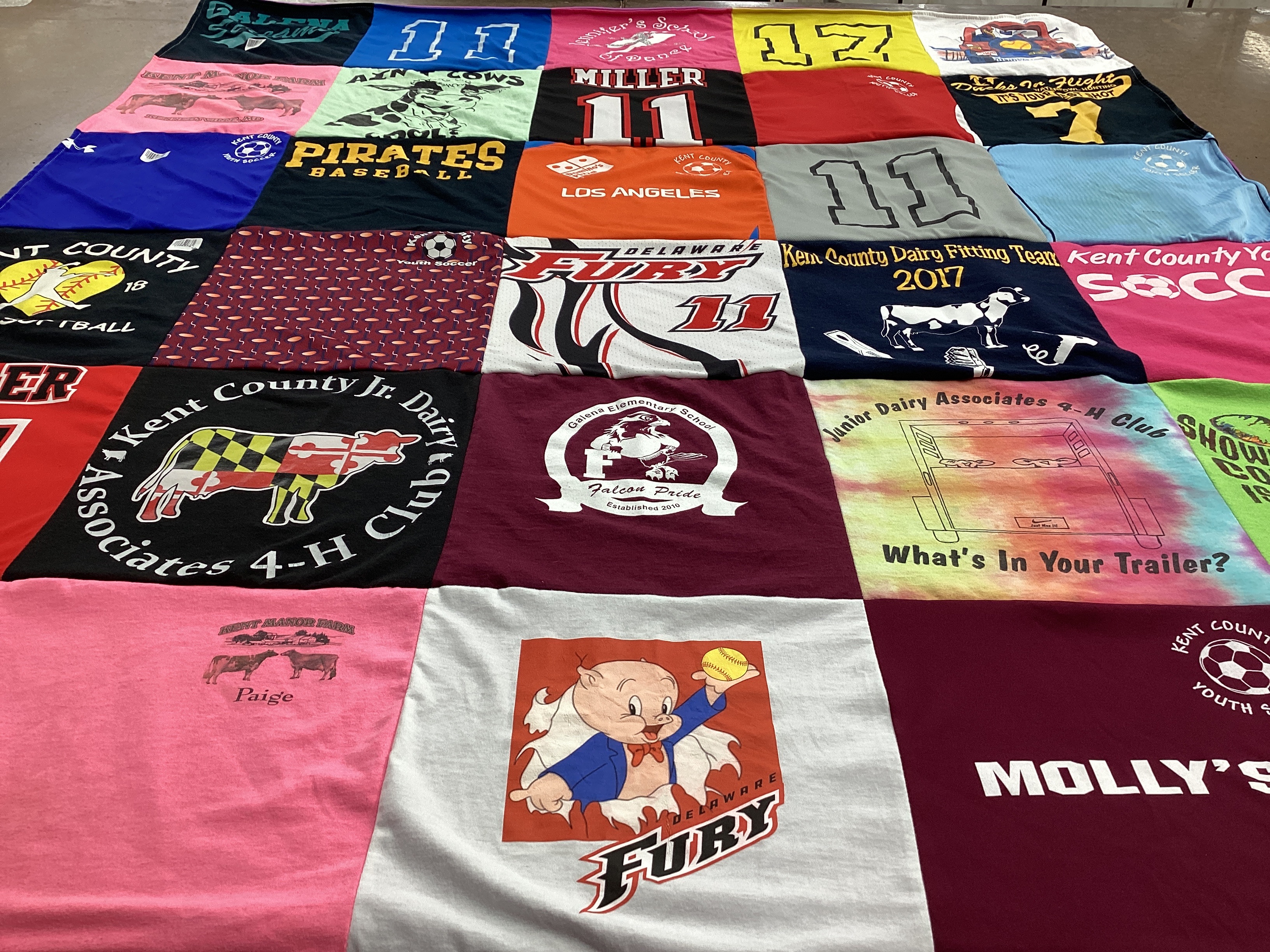 T-shirt quilt featuring delaware fury, kent county pirates baseball by Amanda from MD
