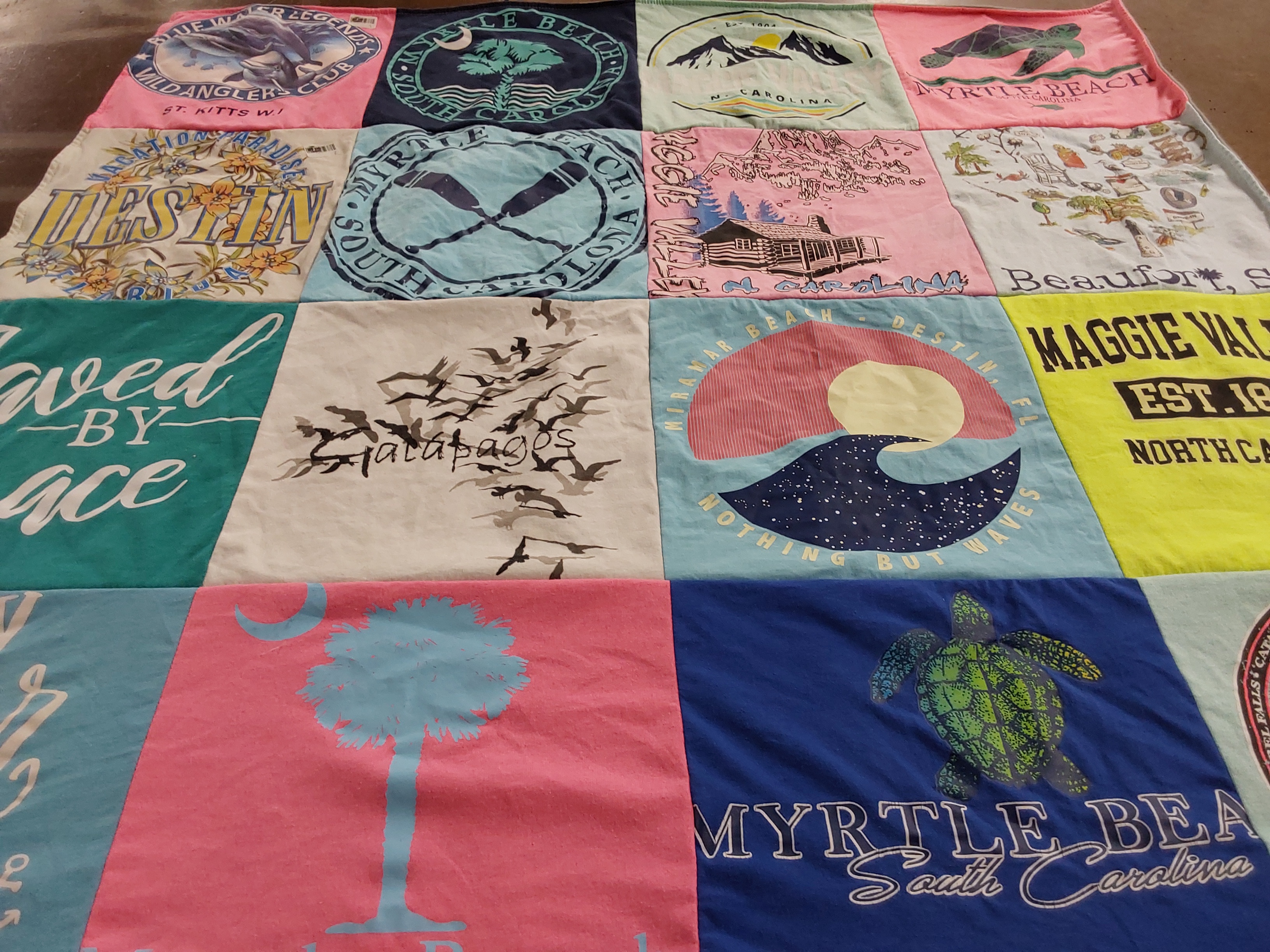 T-shirt quilt with travel, nature themes by Danna from MS