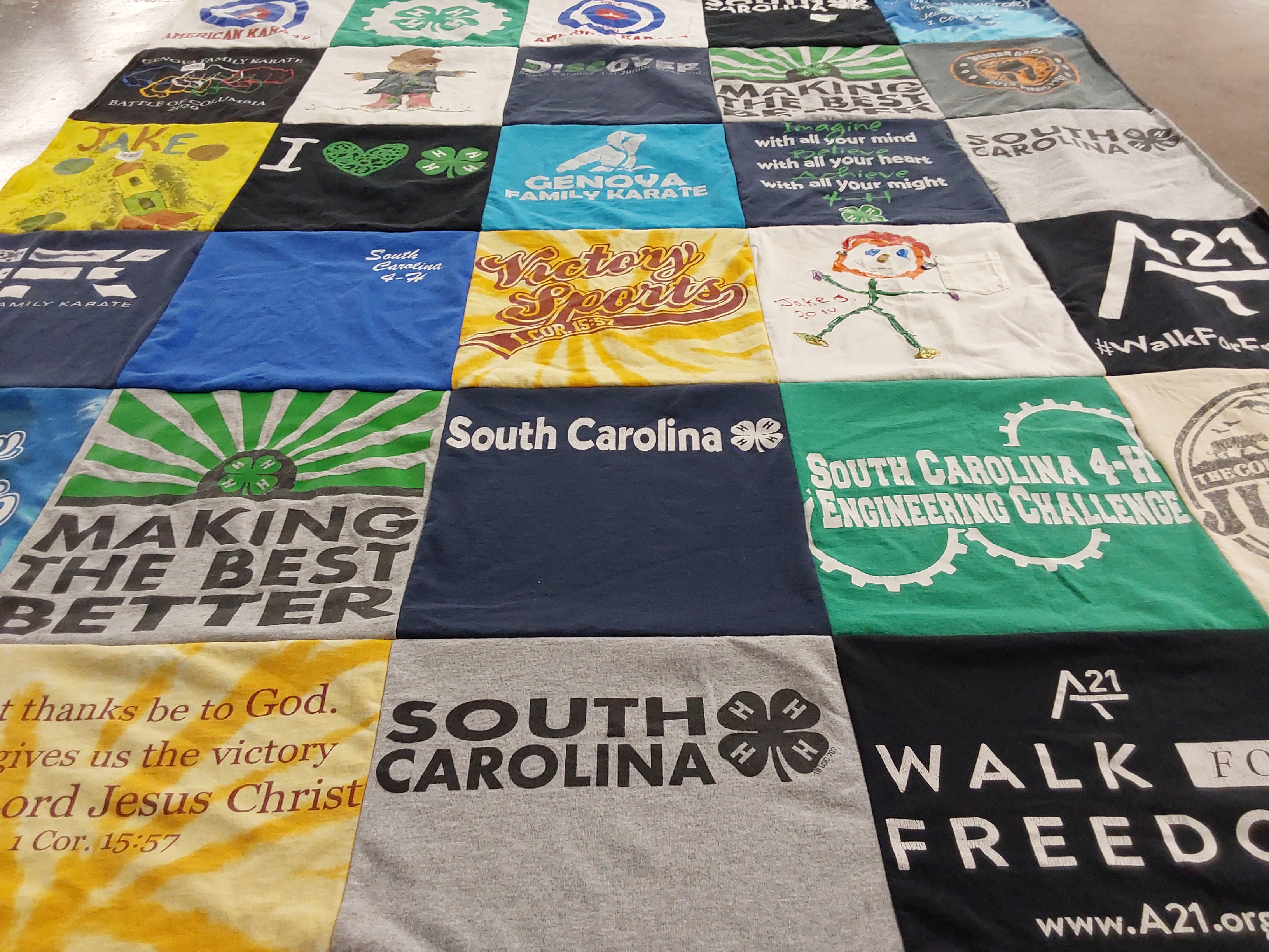 T-shirt quilt with karate, 4-h themes by Stacey from SC