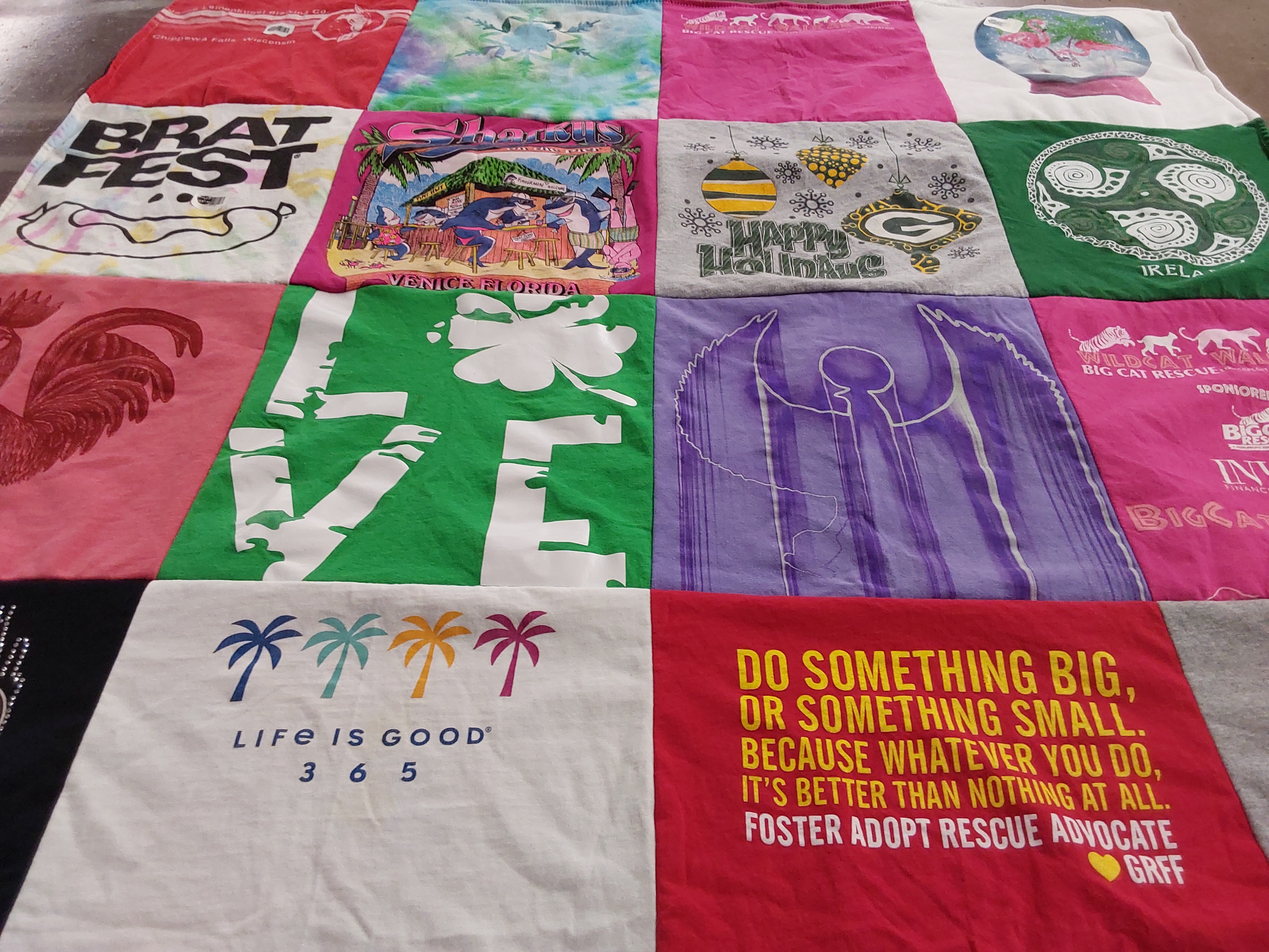 T-shirt quilt with animal rescue, festivals themes by Kay from WI