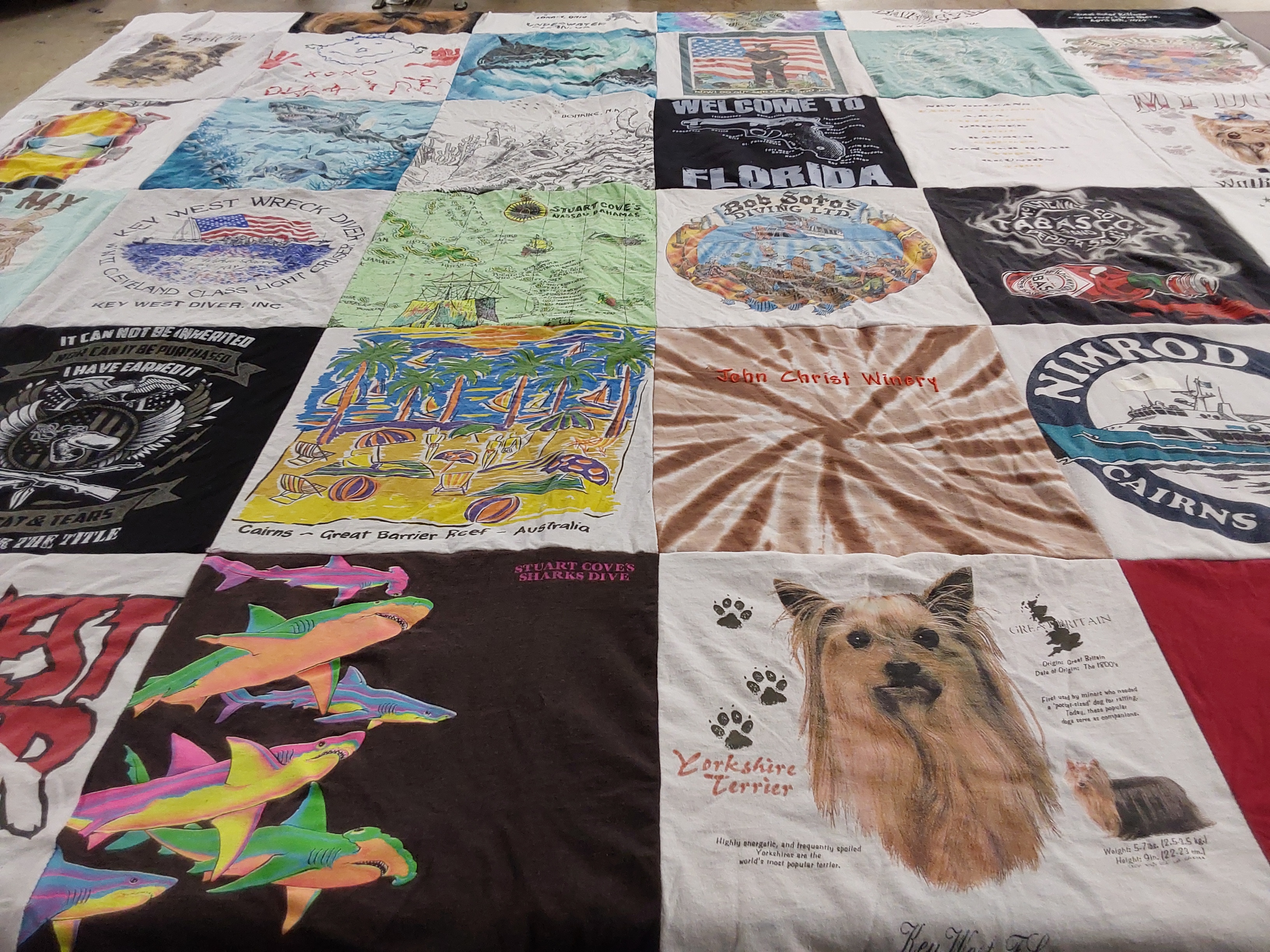 T-shirt quilt with diving, travel themes by Cathy from OH