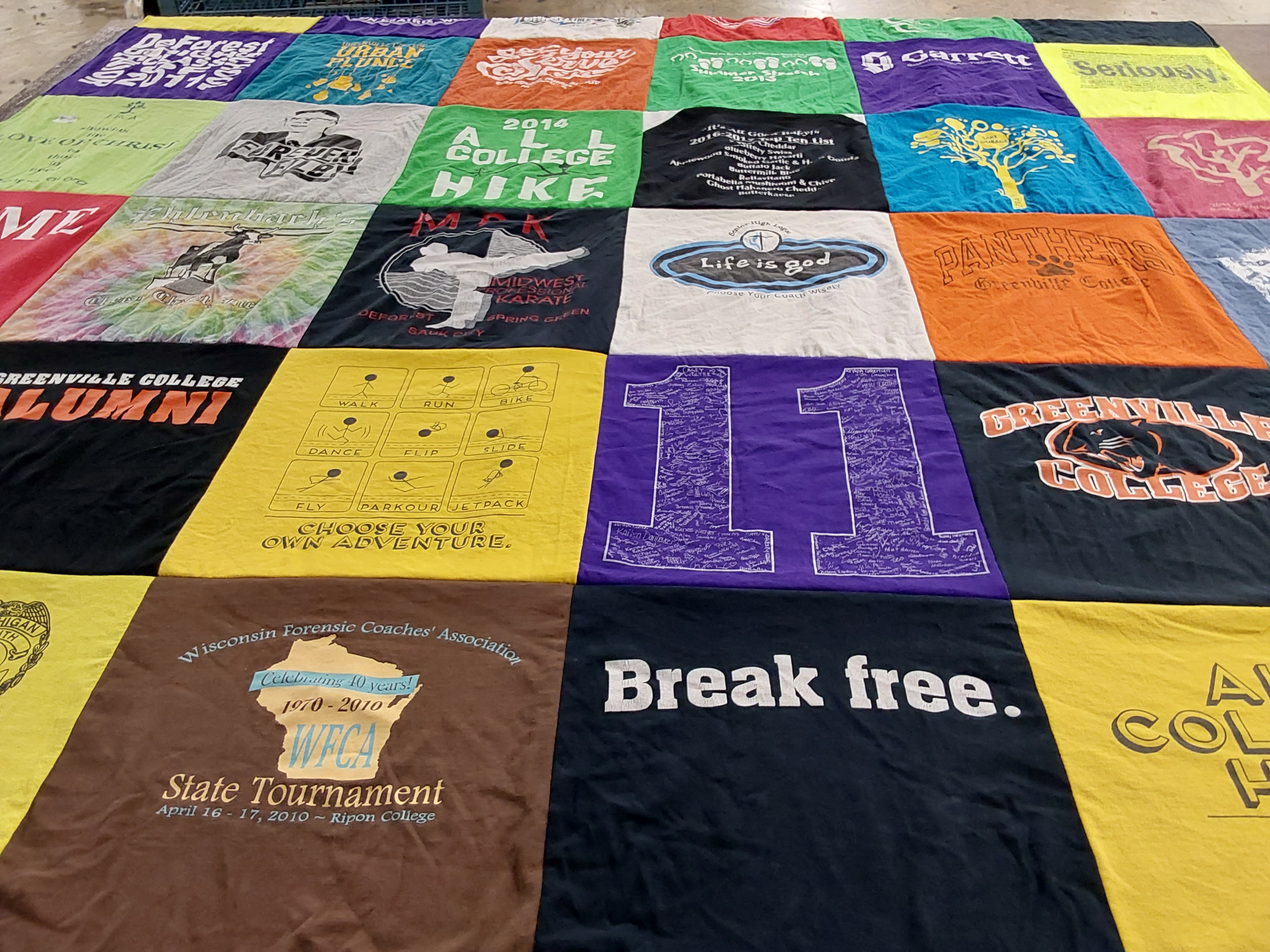 T-shirt quilt featuring panthers greenville college by Autumn from NE