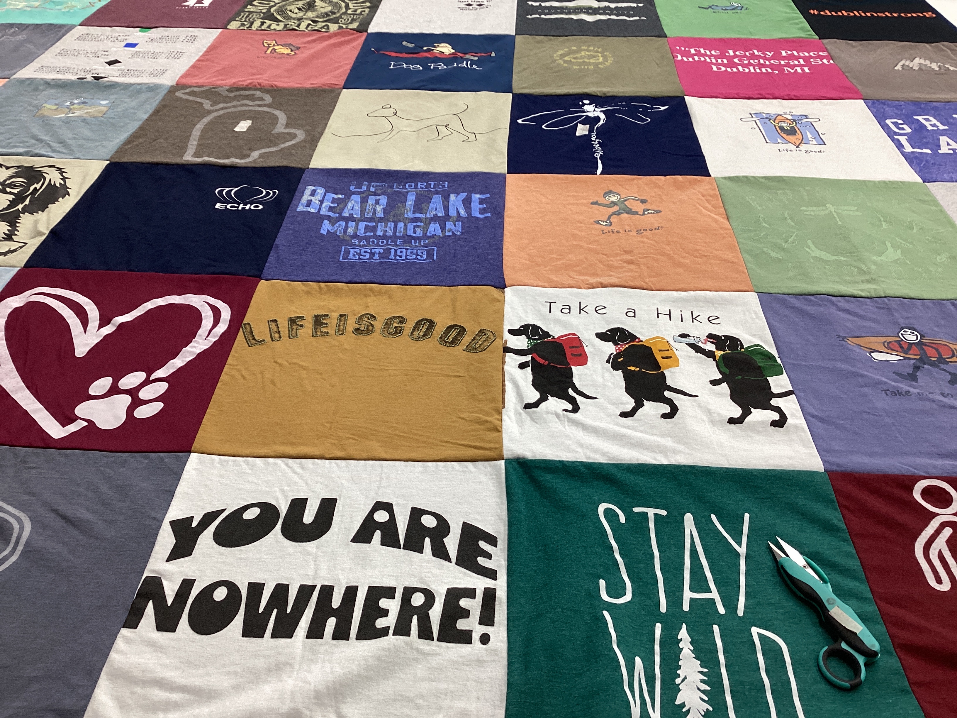 T-shirt quilt with outdoor, nature themes by ANNE from MI