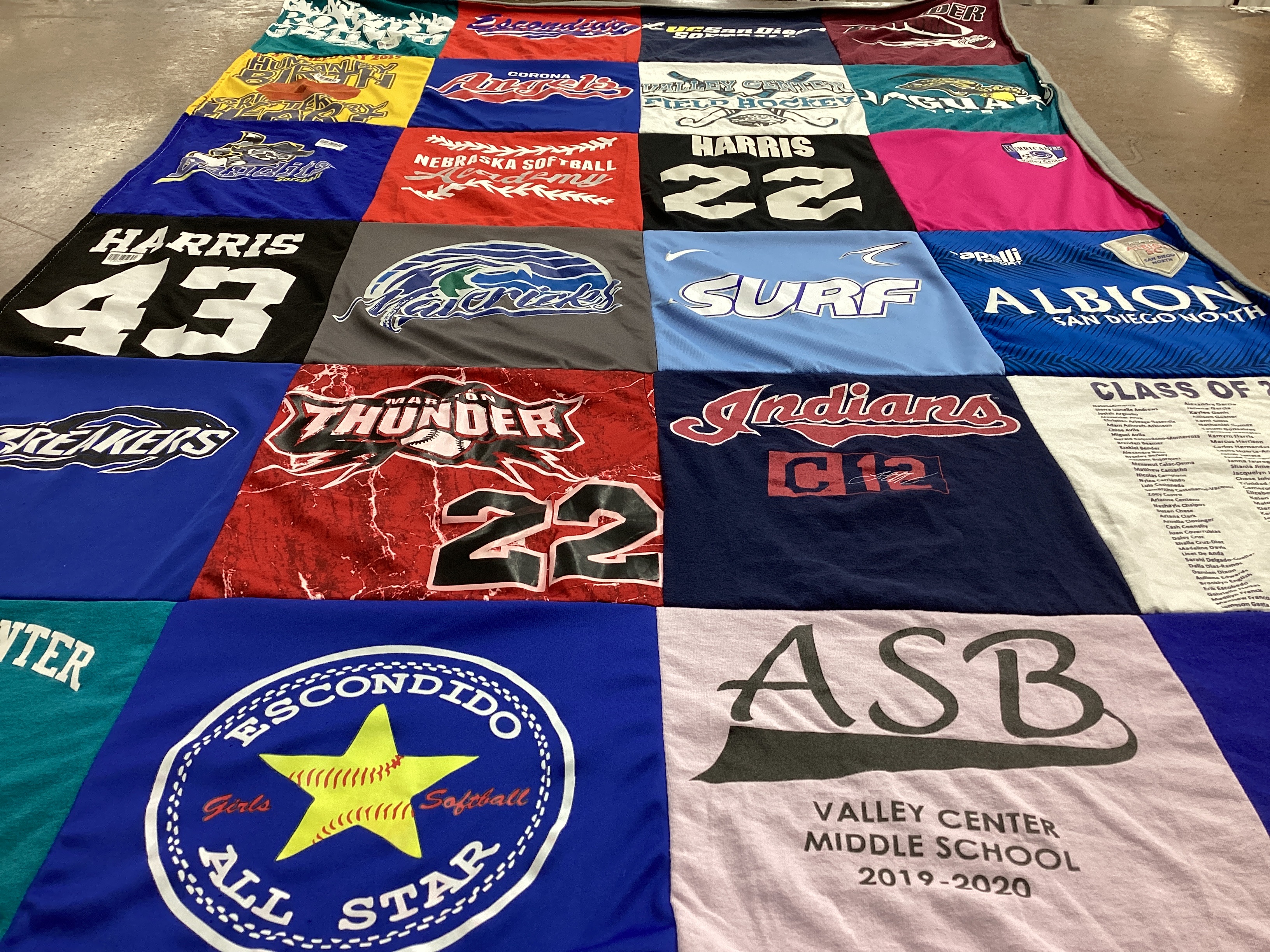 T-shirt quilt featuring harris, thunder by Kim from CA