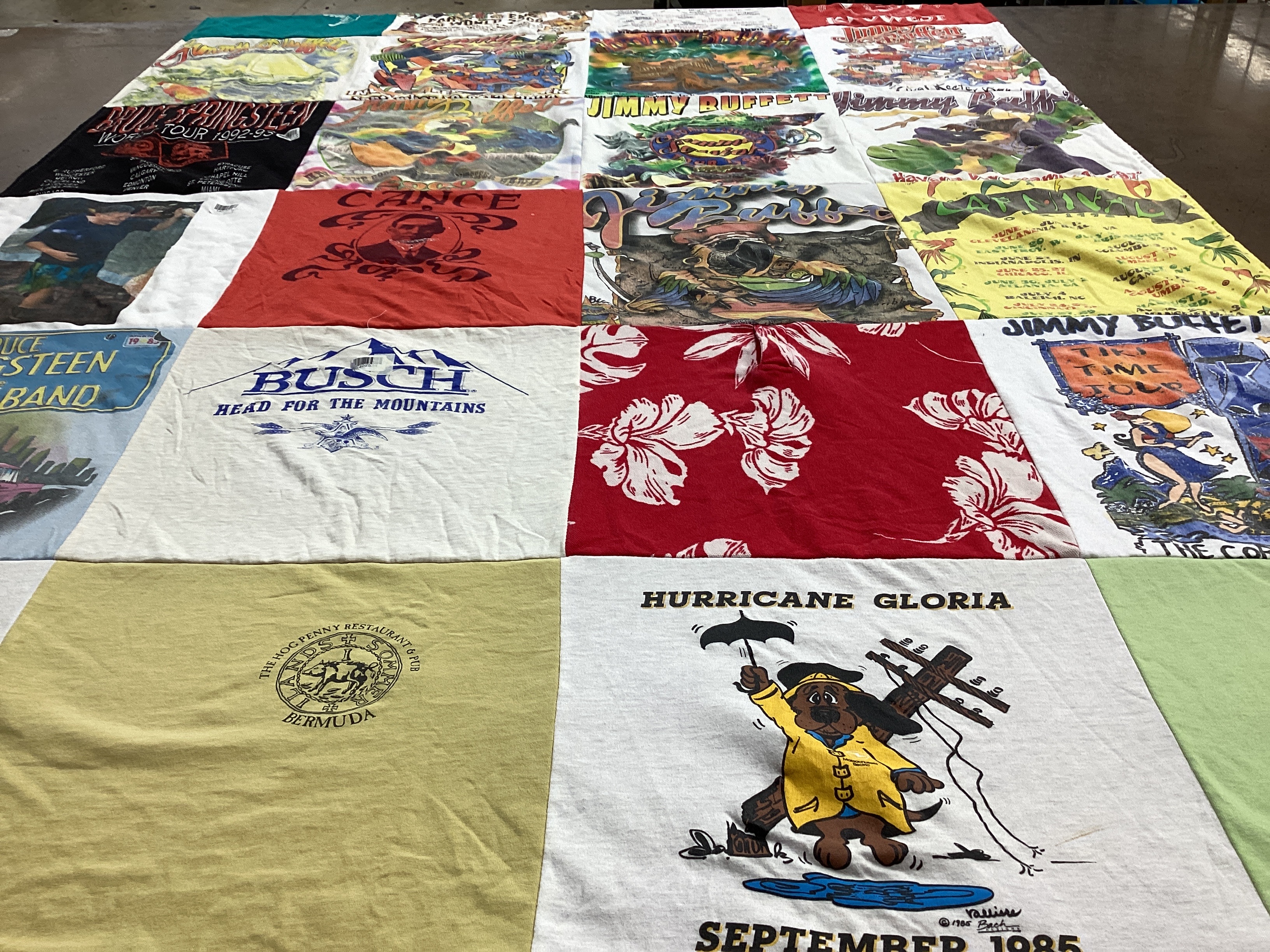 T-shirt quilt with music, beach themes by Lisa from MA