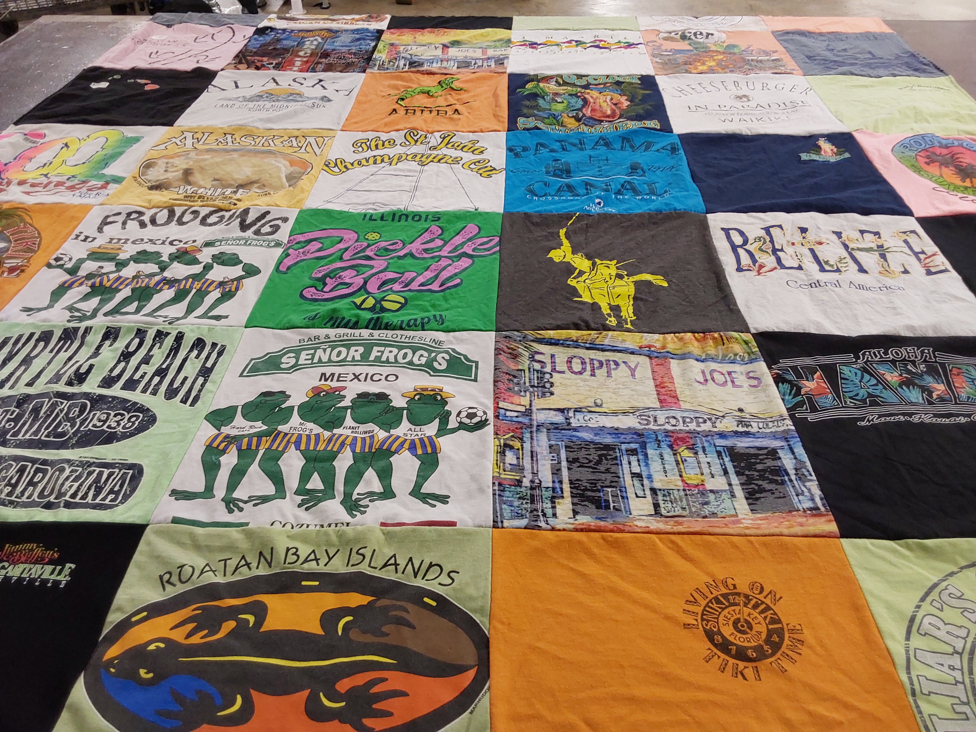 T-shirt quilt with travel, beach themes by Catherine from IL