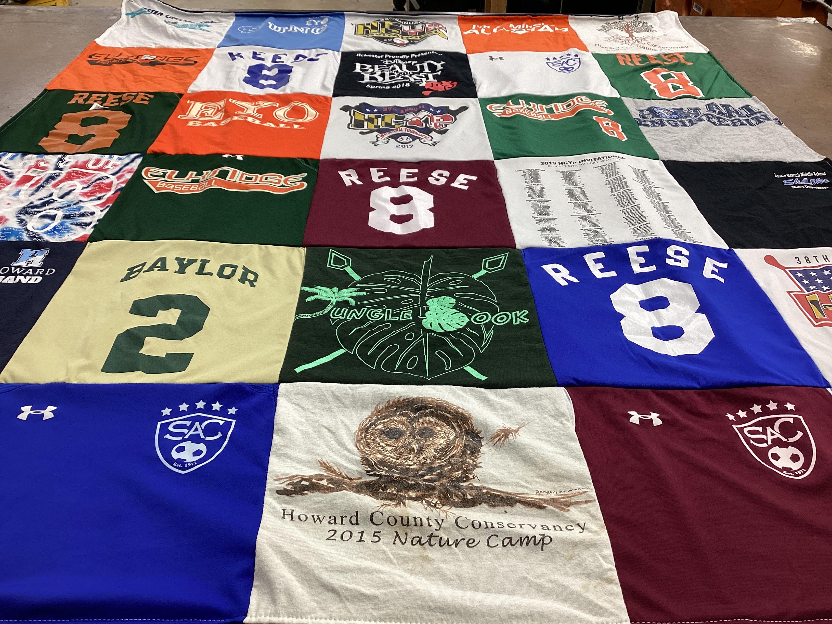T-shirt quilt featuring seattle seahawks, seattle mariners by Amy from MD
