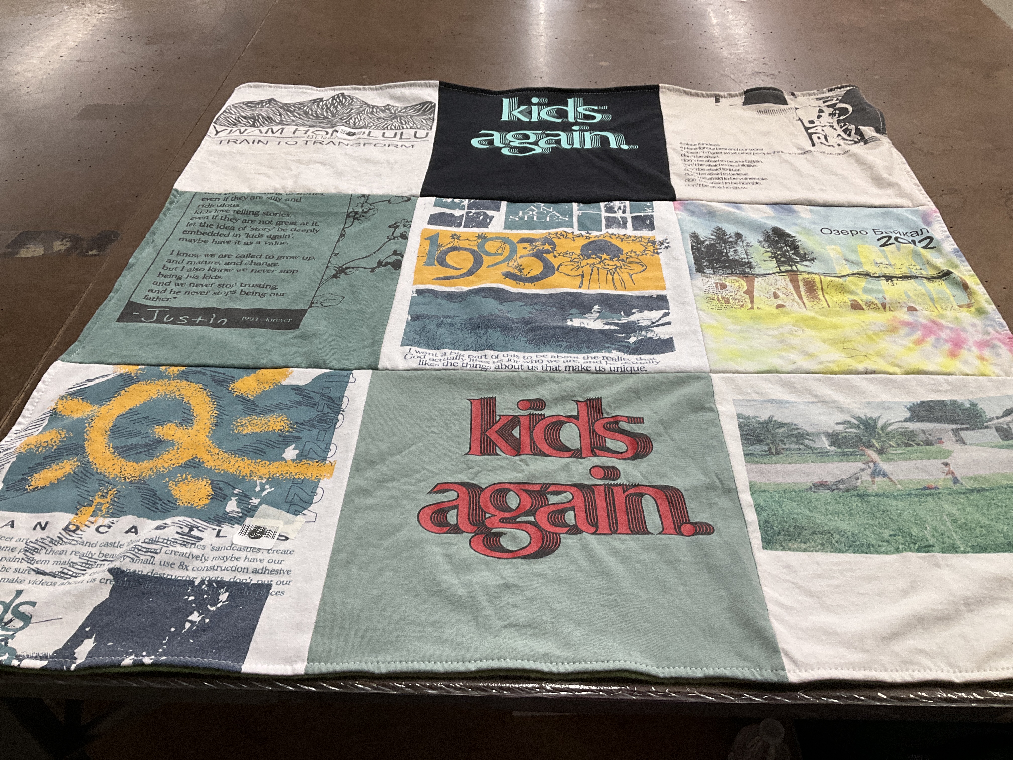 T-shirt quilt with art, nature themes by Lauren from FL