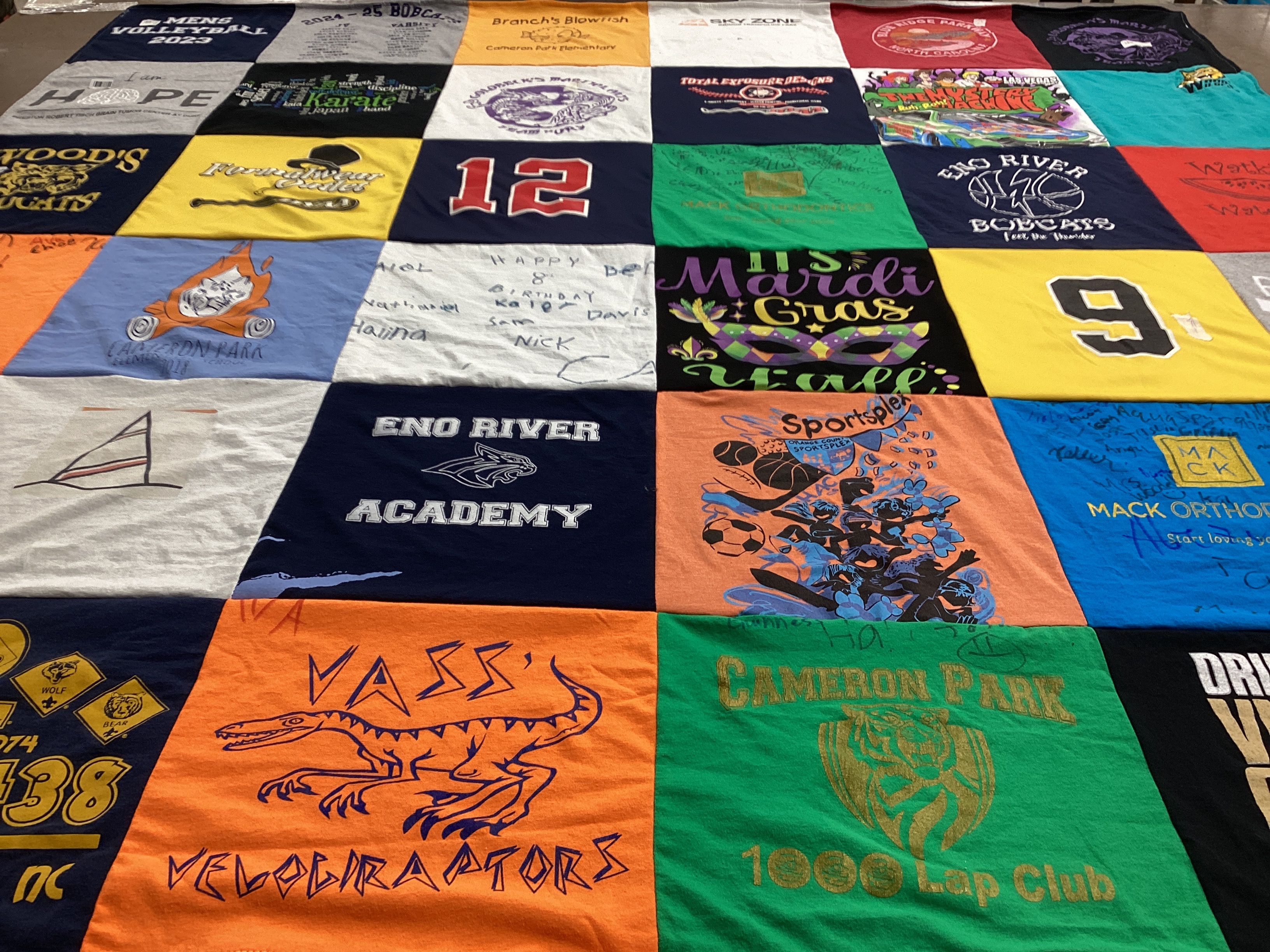 T-shirt quilt featuring vass velociraptors by Tara from NC