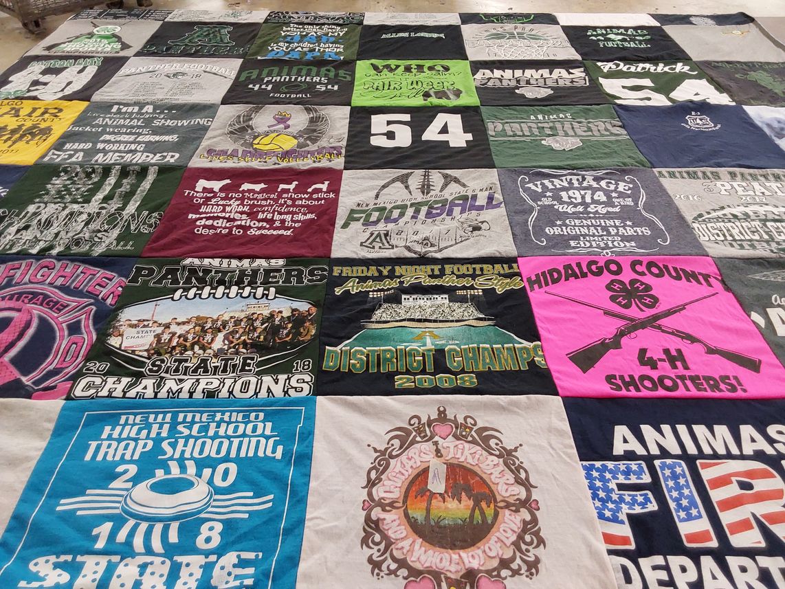 T-shirt quilt featuring animal panthers, panthers football by Shannon from NM