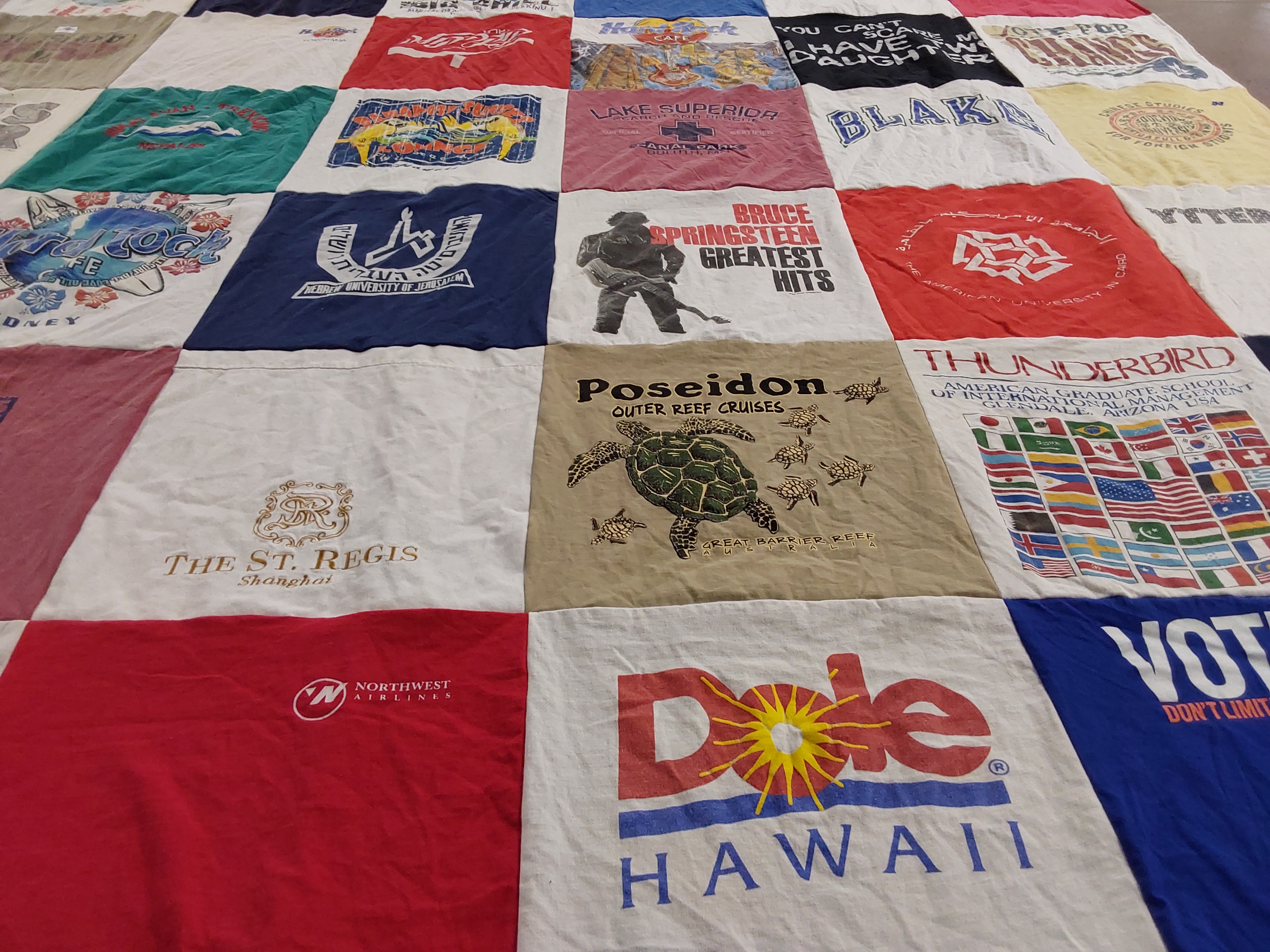 T-shirt quilt with travel, marine life themes by Eric from MN