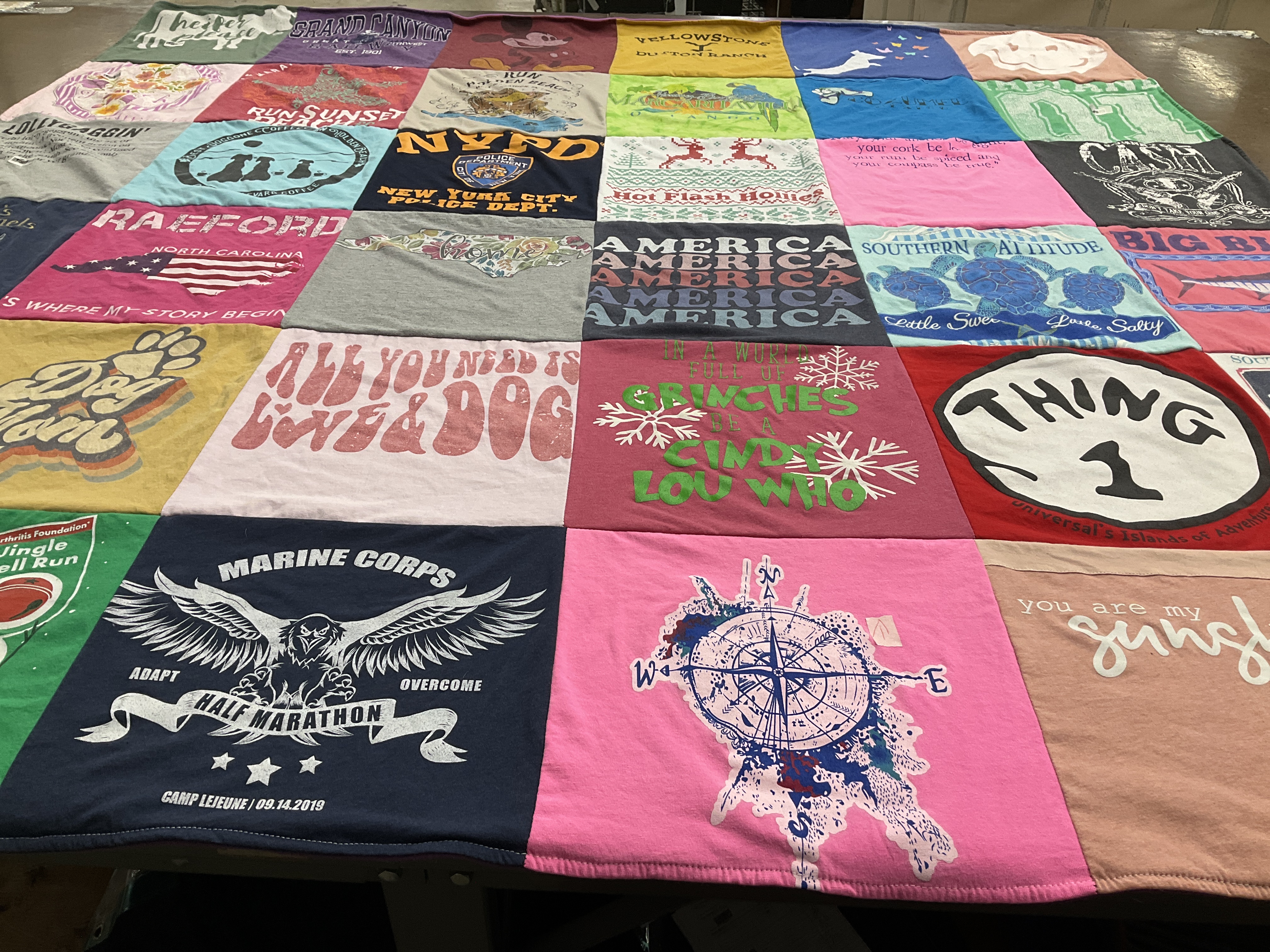 T-shirt quilt with running, dogs themes by Amy from SC