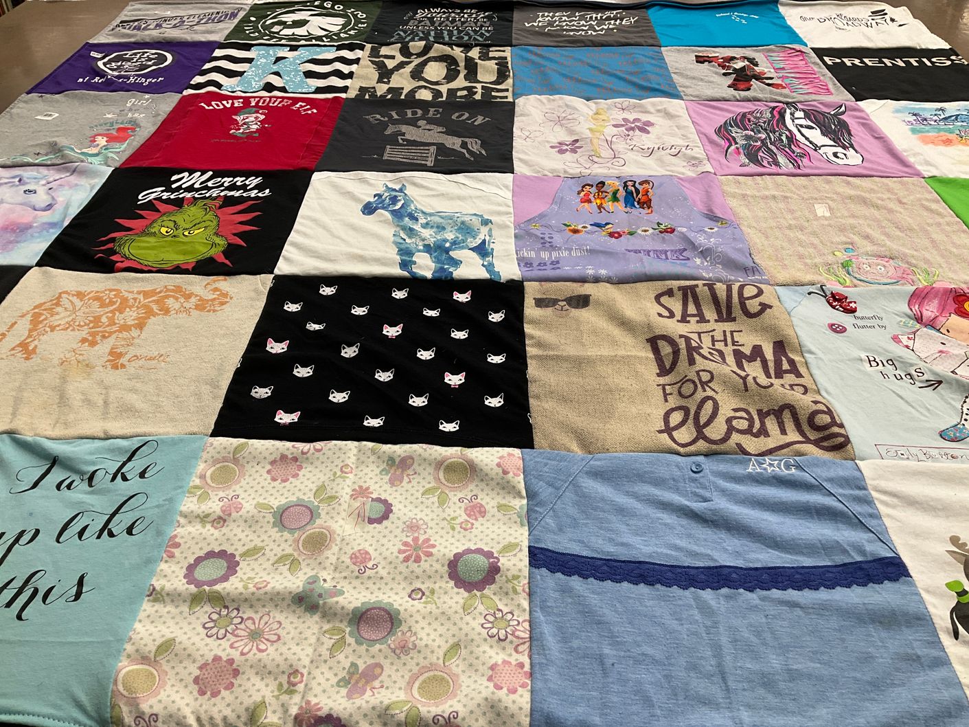 T-shirt quilt with animals, hobbies themes by Leigh from CA