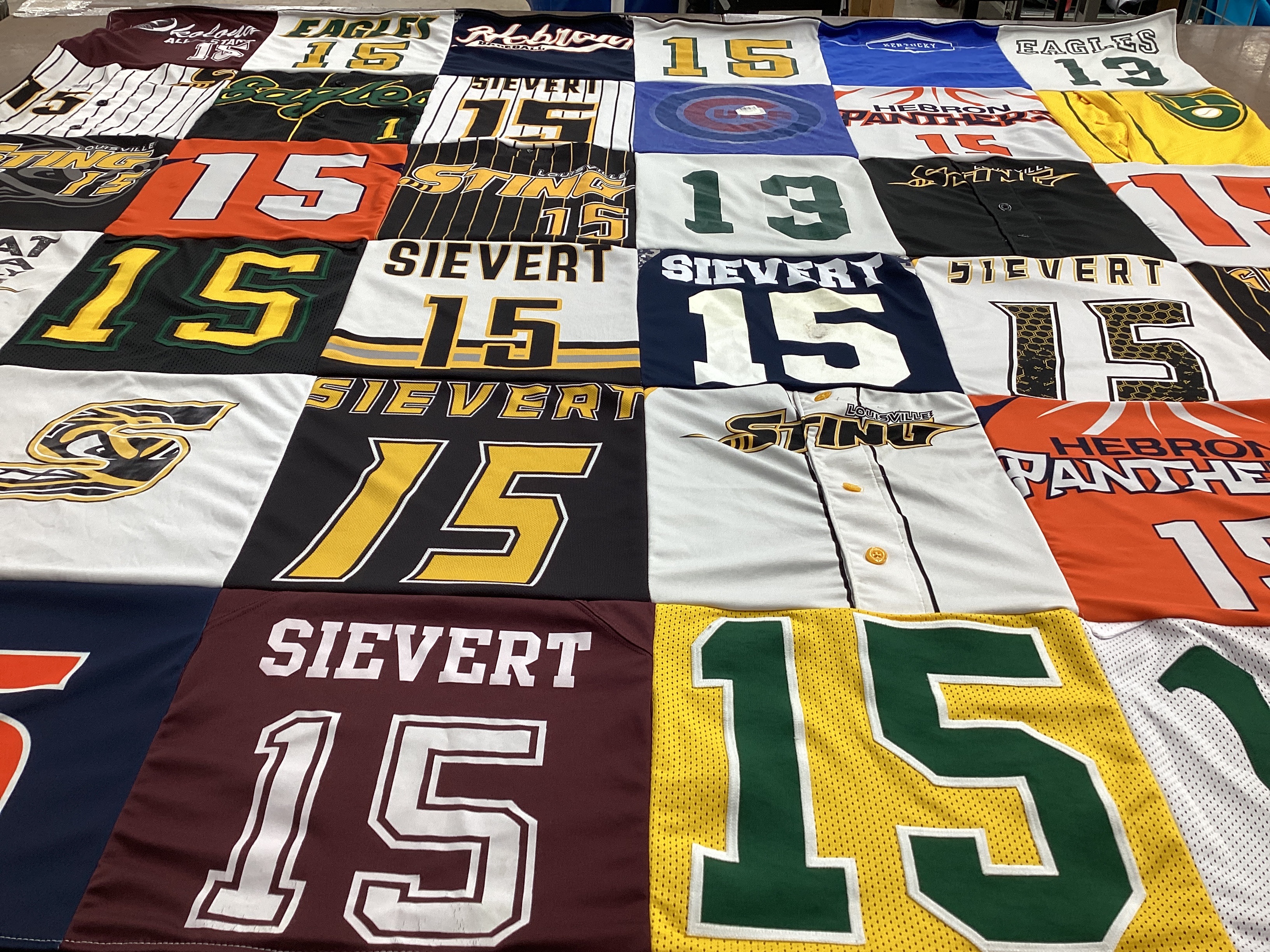 T-shirt quilt featuring sting by Glenda from KY