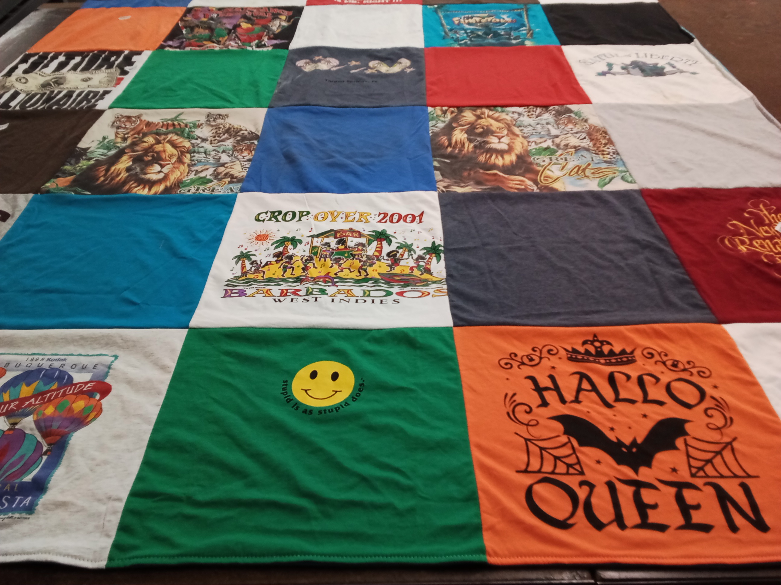 T-shirt quilt with travel, carnival themes by Lois from TN
