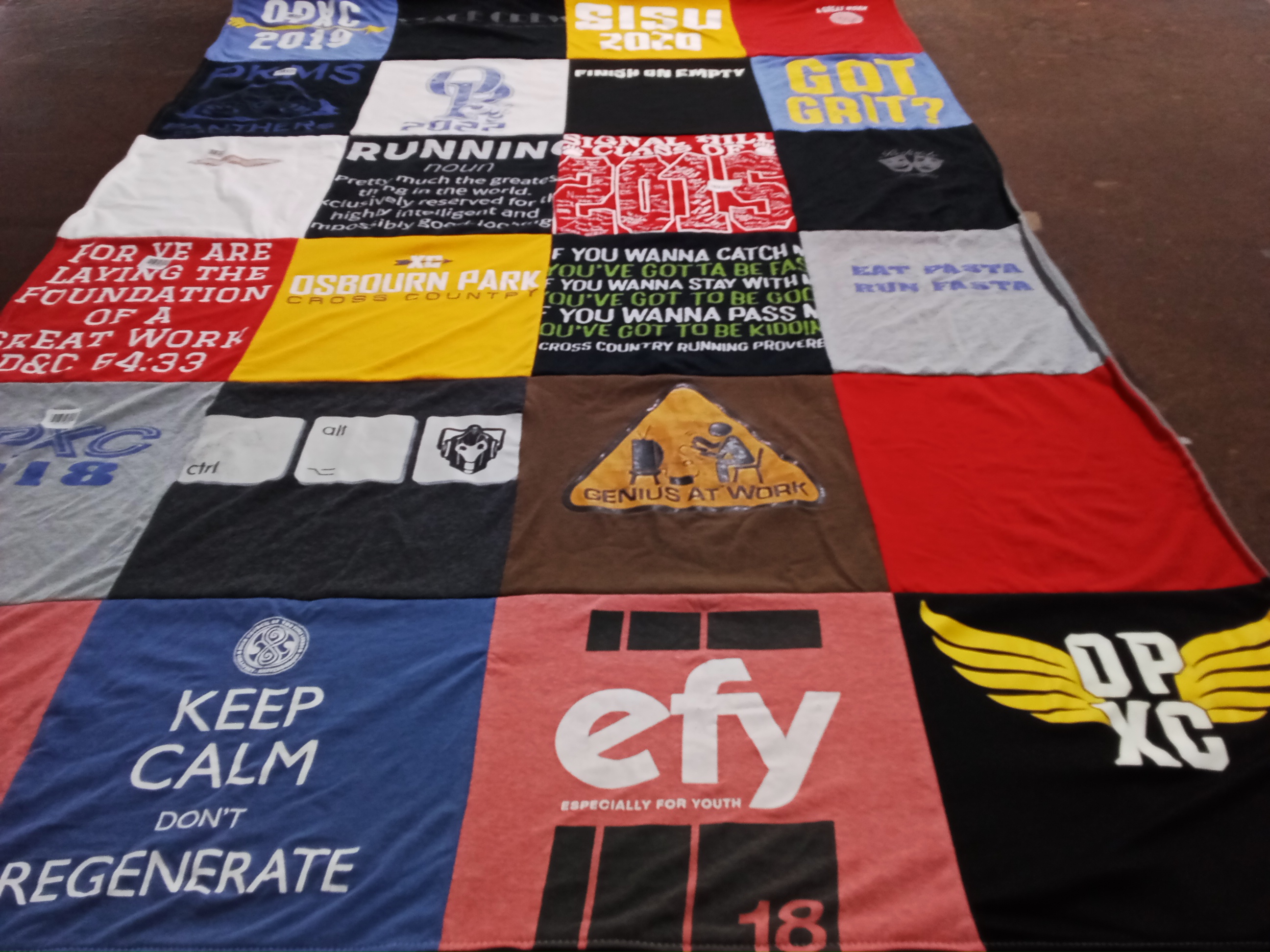 T-shirt quilt featuring osbourn park cross country by Cara from VA