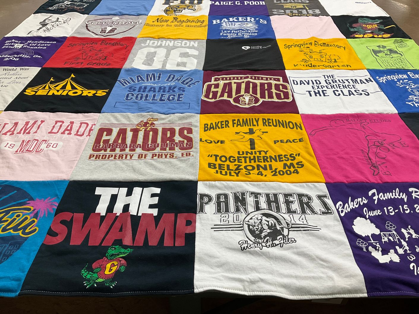 T-shirt quilt featuring gators, panthers by Hettie from FL