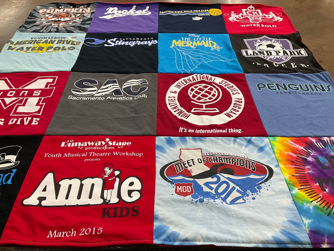 T-shirt quilt with water polo, diving themes by Nancy from CA
