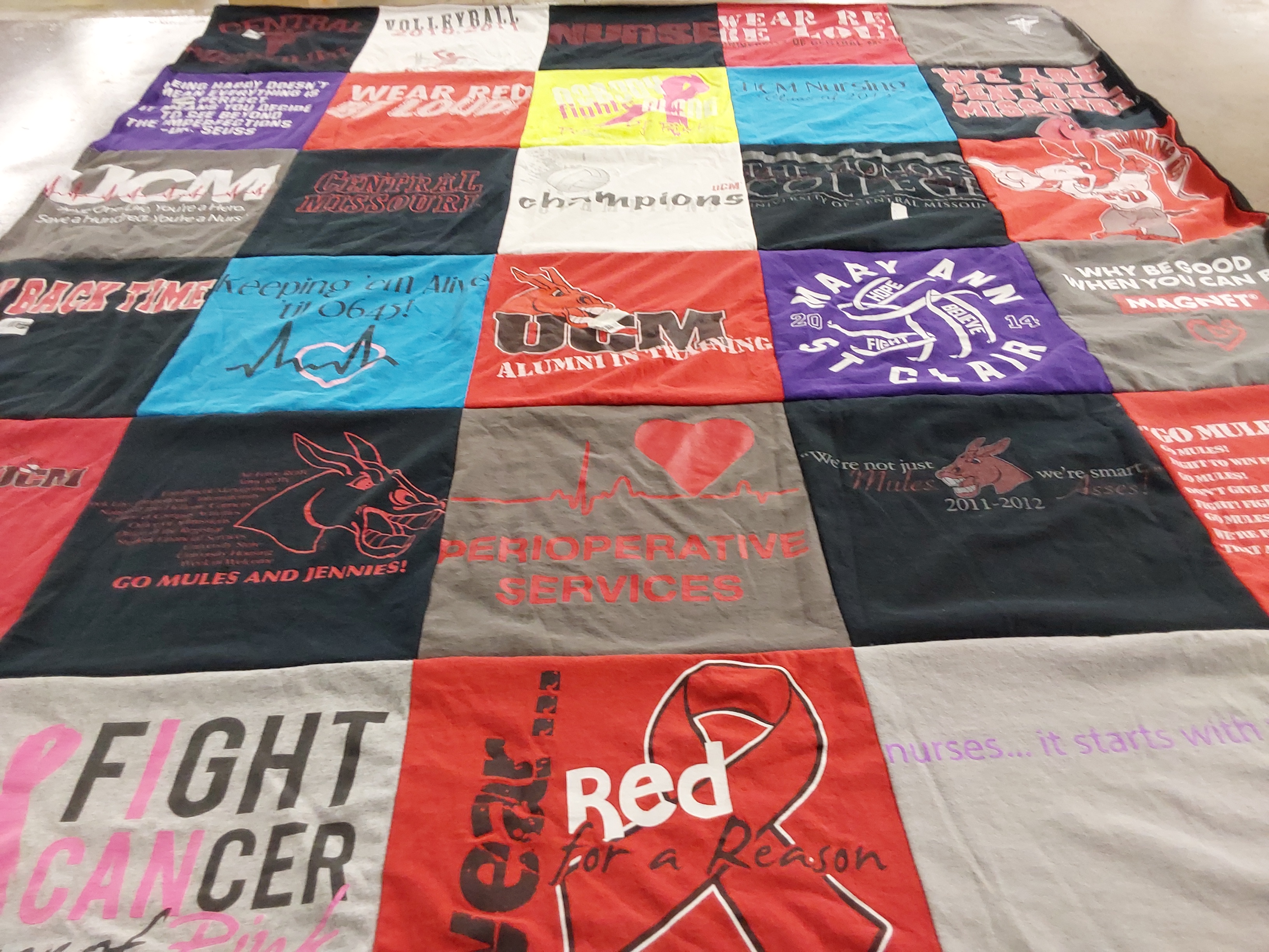 T-shirt quilt featuring mules and jennies by Emily from MO