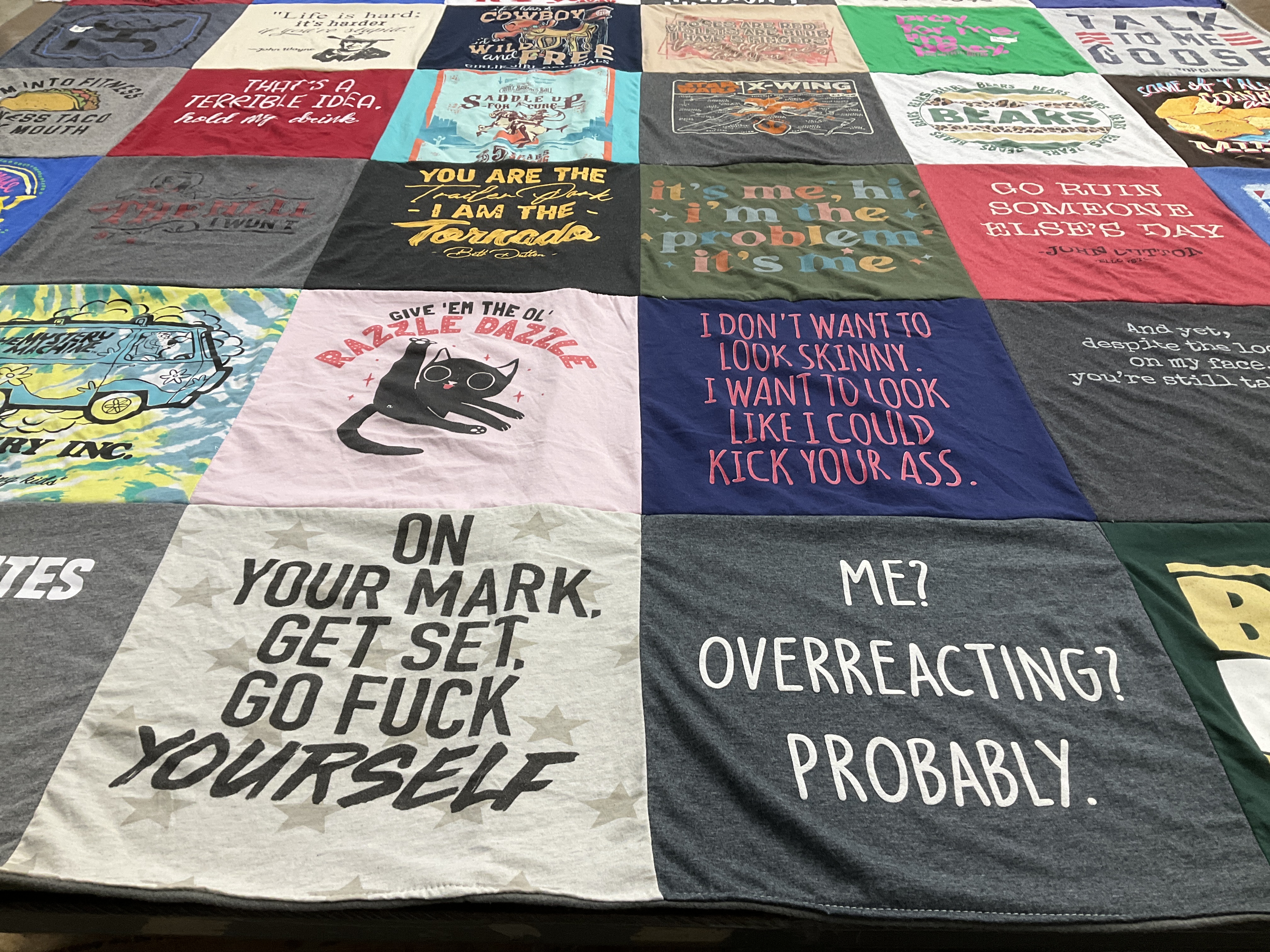 T-shirt quilt with humor, cats themes by Susanne from TX