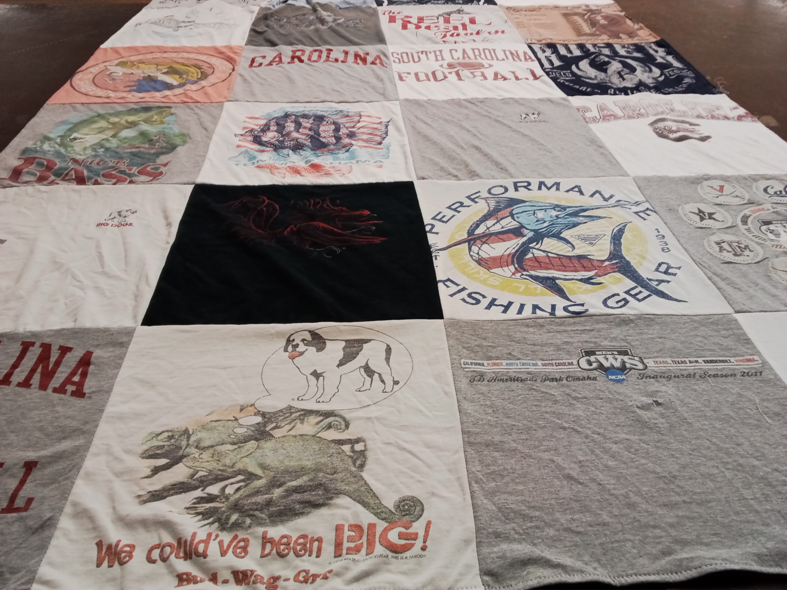 T-shirt quilt from south carolina university by Pamela from FL