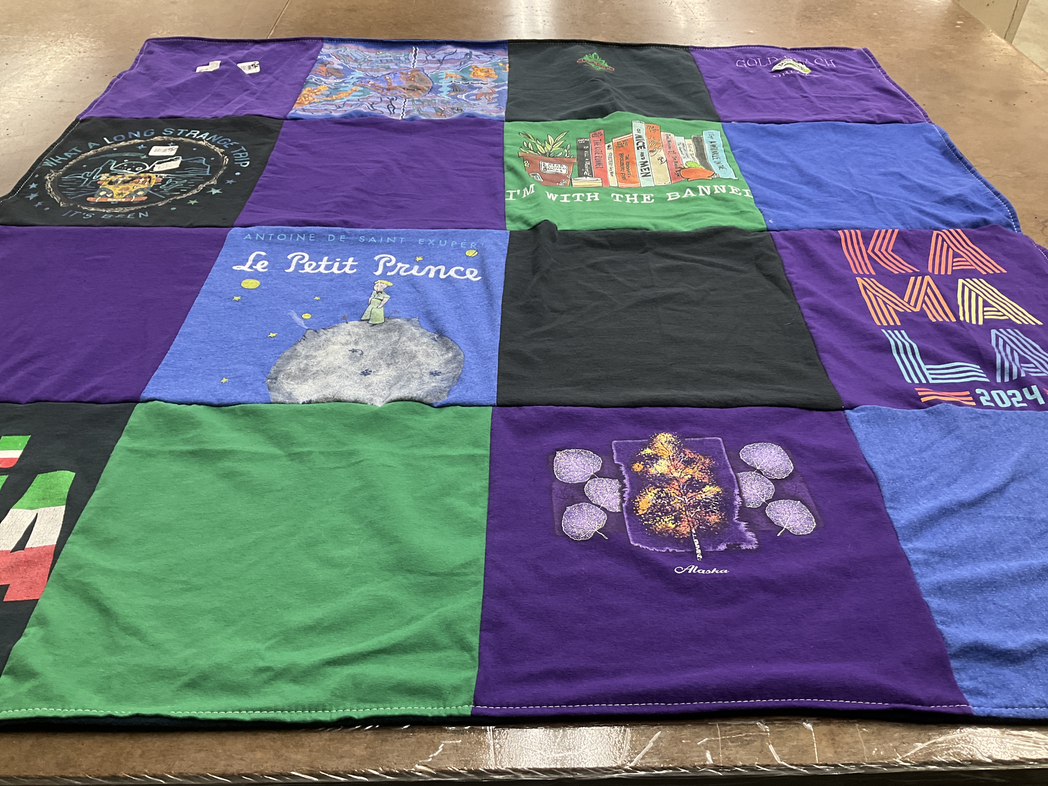 T-shirt quilt with literature, politics themes by Anne from NV