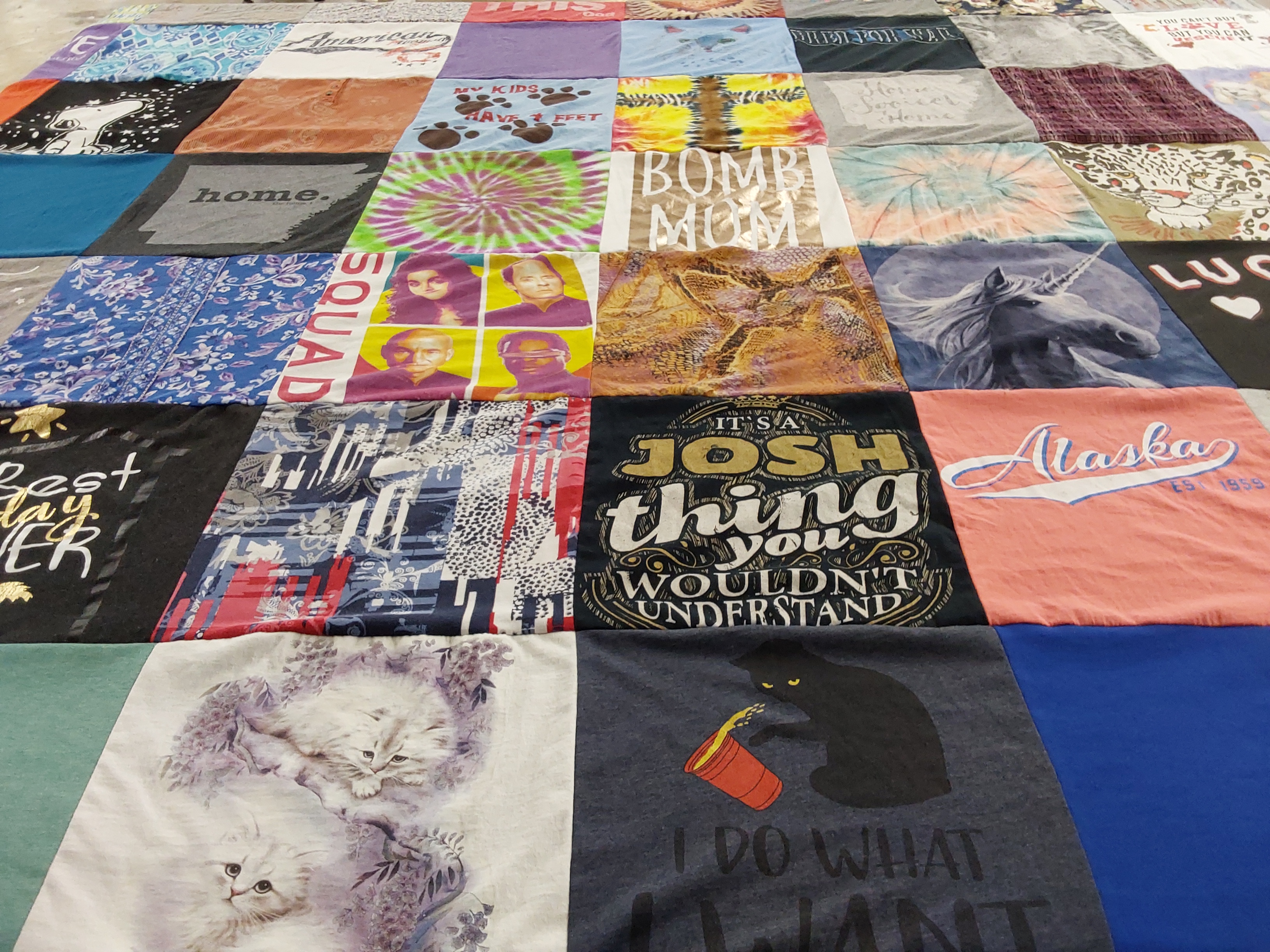 T-shirt quilt with family, pets themes by Carol from AR