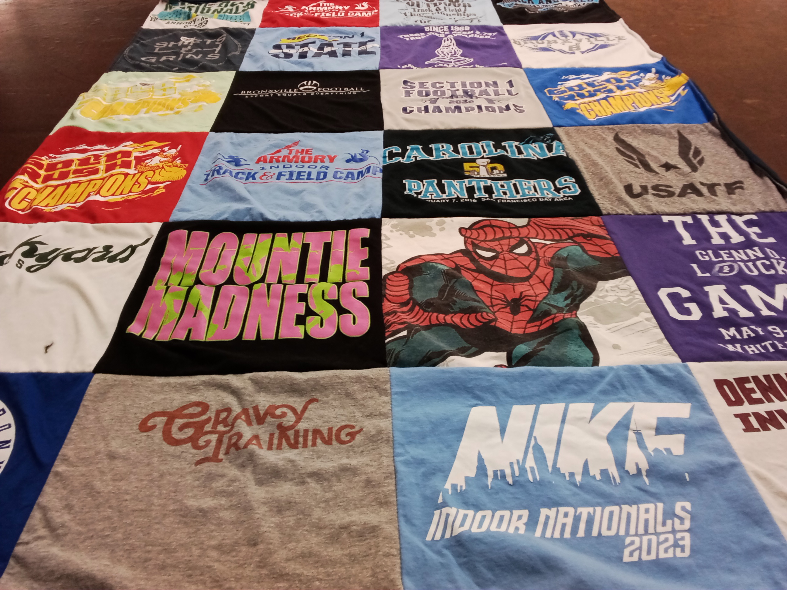T-shirt quilt from carolina panthers by Carlie from NY