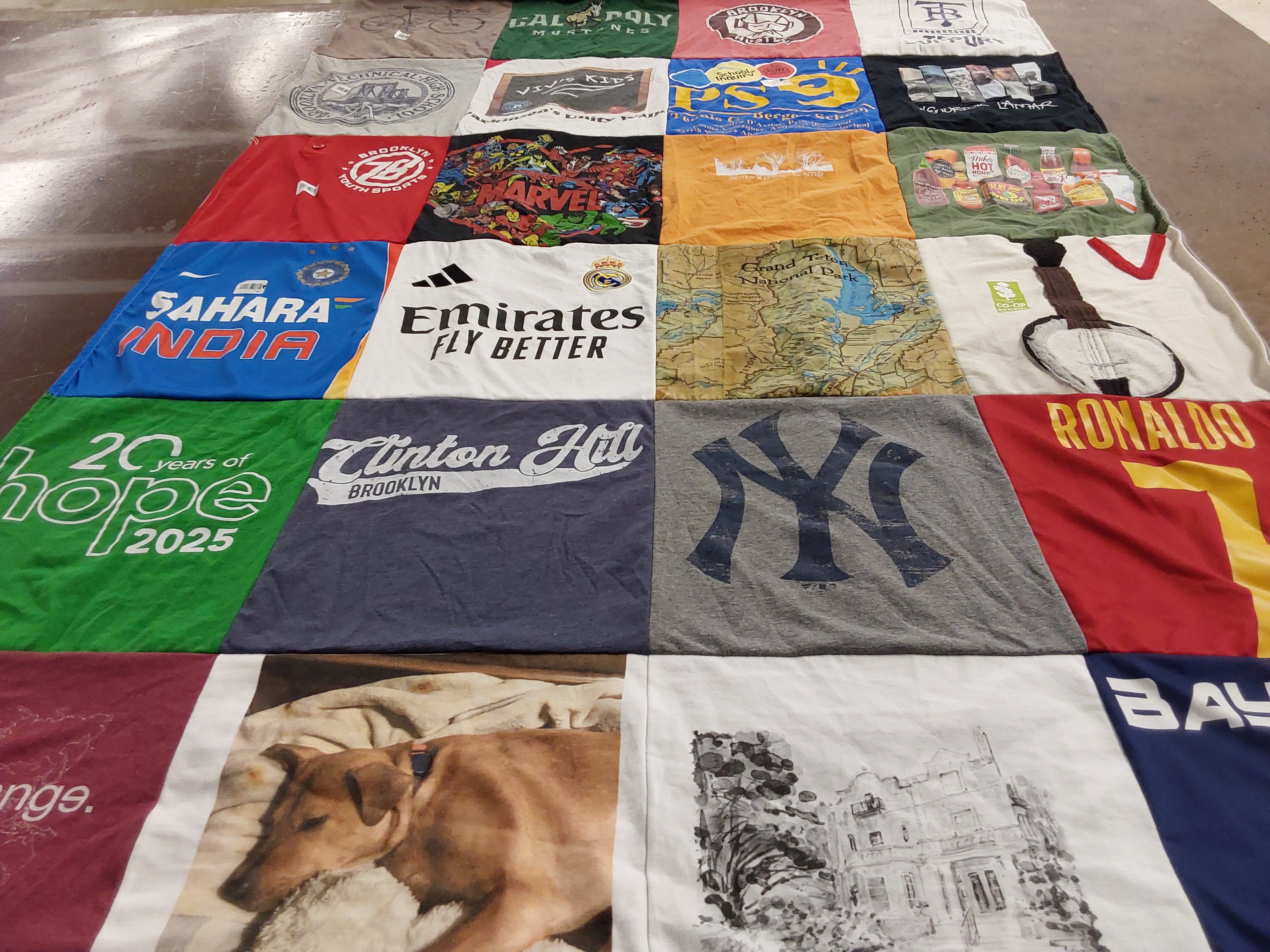 T-shirt quilt with dogs, travel themes by Patti from NY