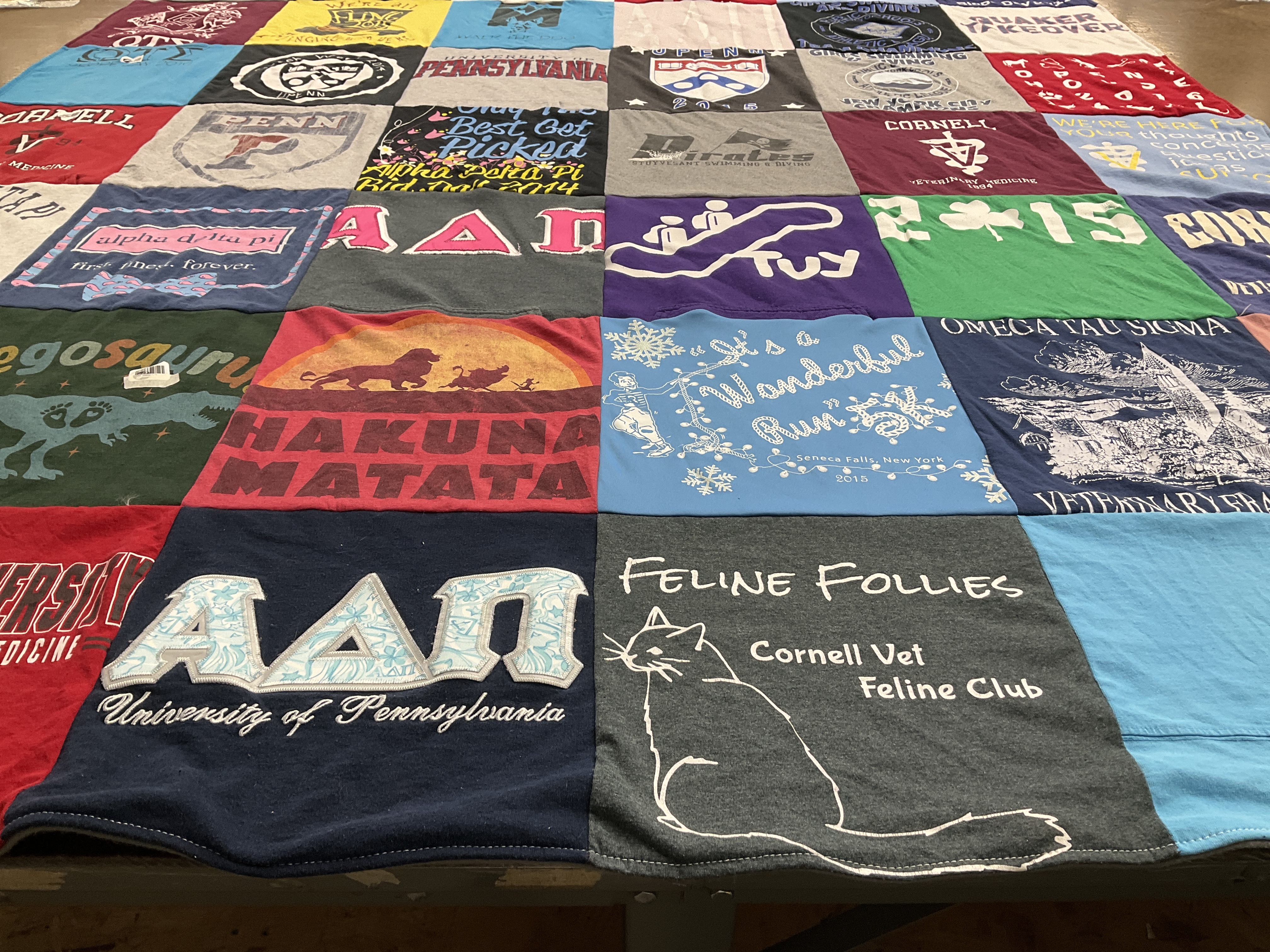 T-shirt quilt from university of pennsylvania, cornell university by Brittany from DC