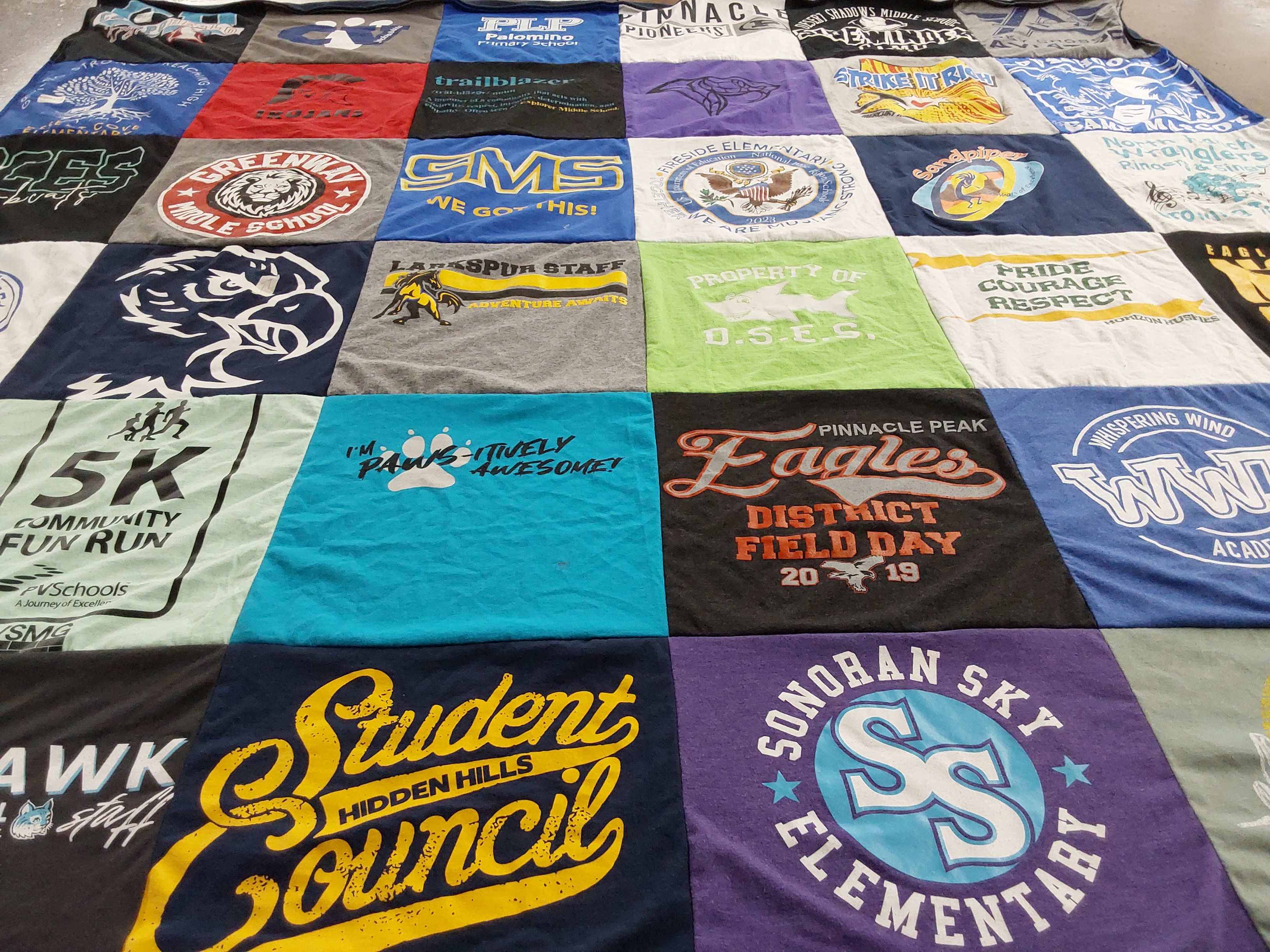 T-shirt quilt featuring pinnacle peak eagles, hidden hills hawks by Anne from AZ