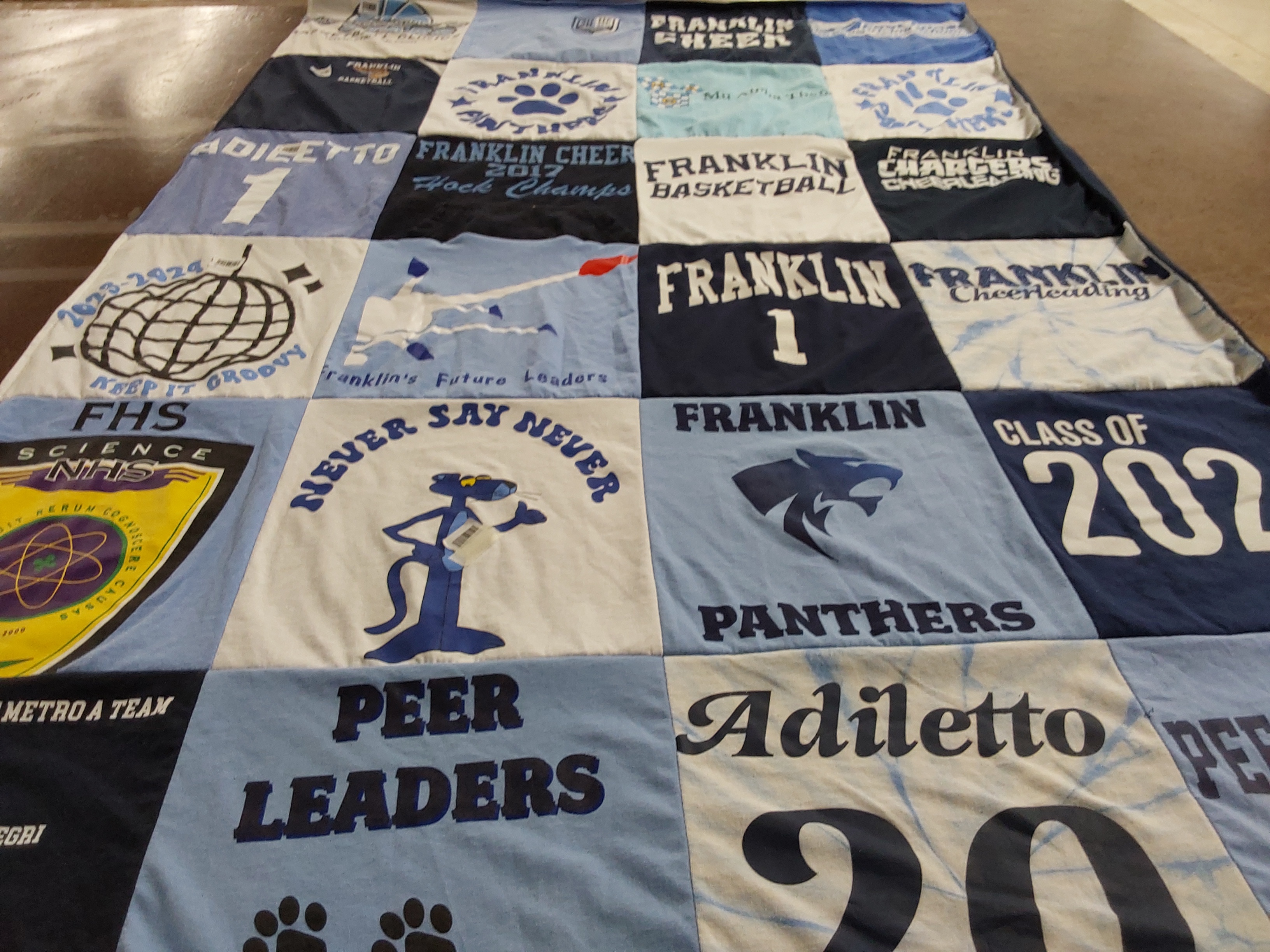 T-shirt quilt featuring franklin panthers by Jeri from MA