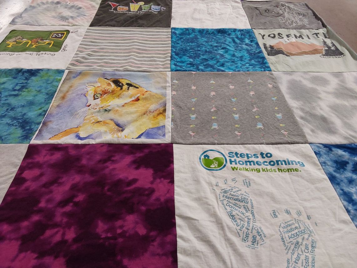 T-shirt quilt with animal testing, art themes by Robert from NC