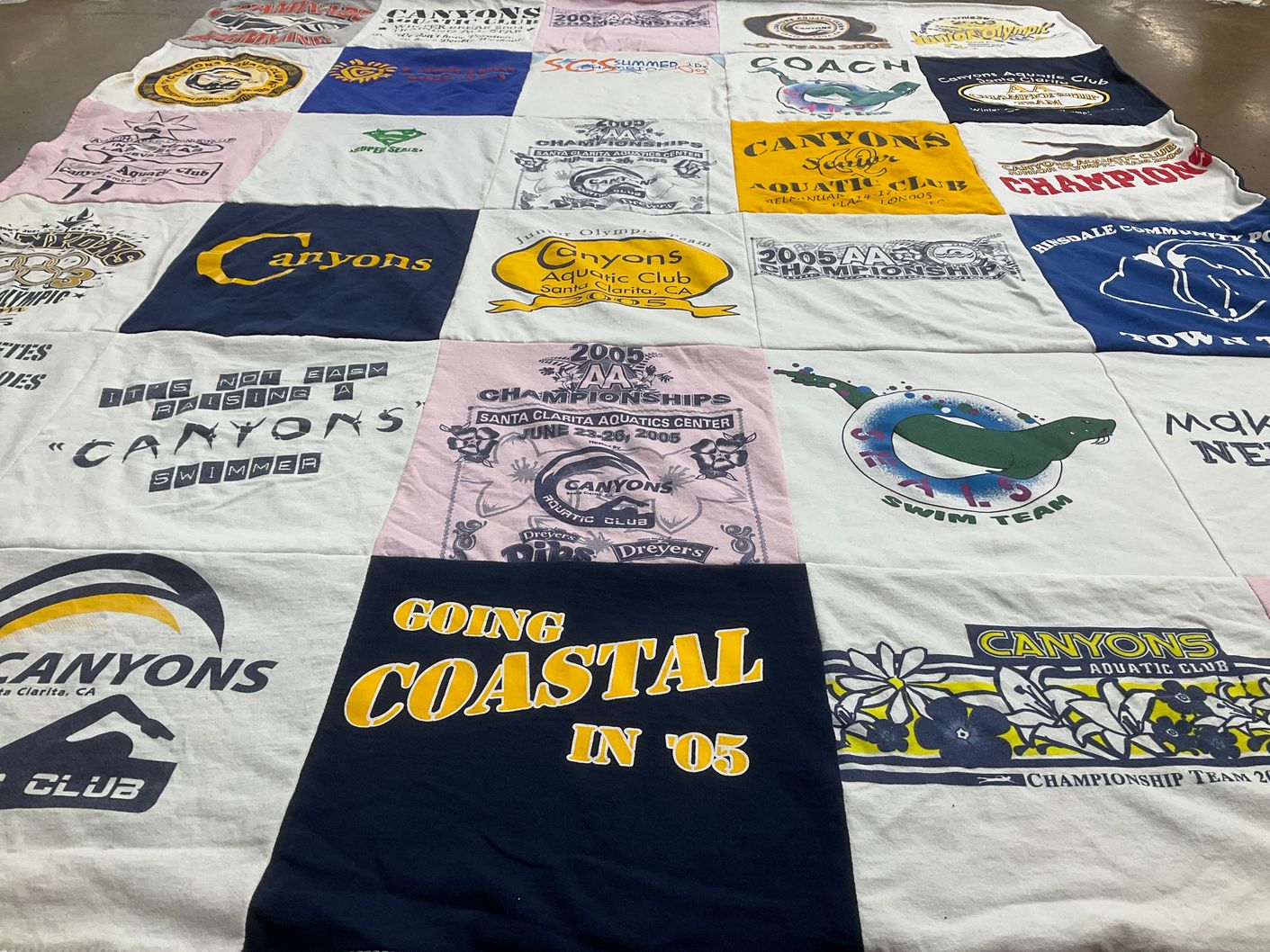 T-shirt quilt with swimming, sports themes by Jenny from CA