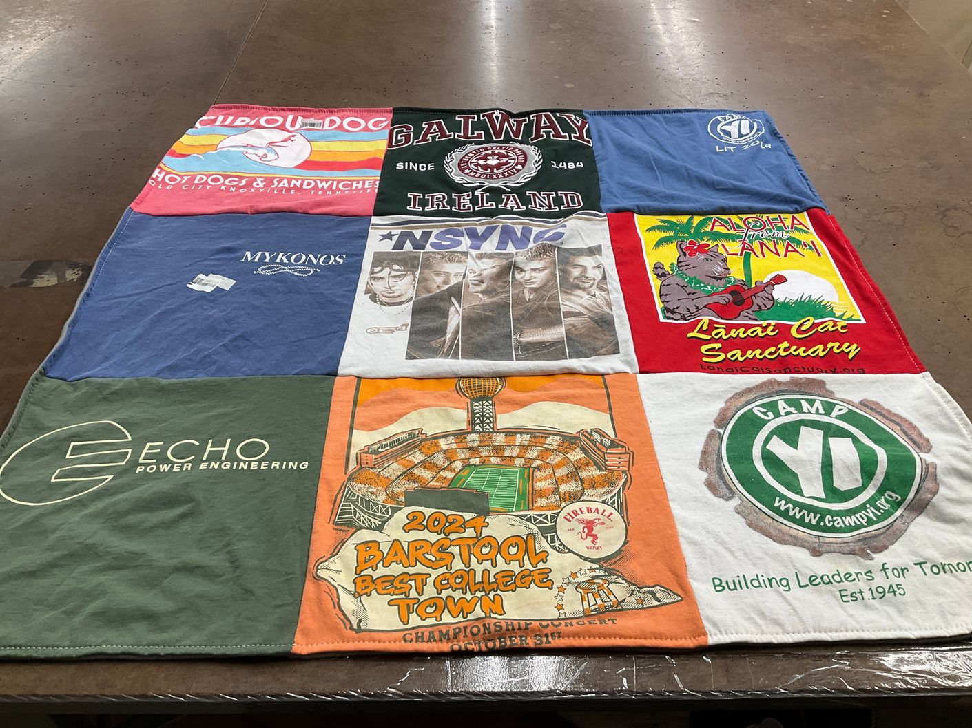 T-shirt quilt with animals, food themes by Elizabeth from TN