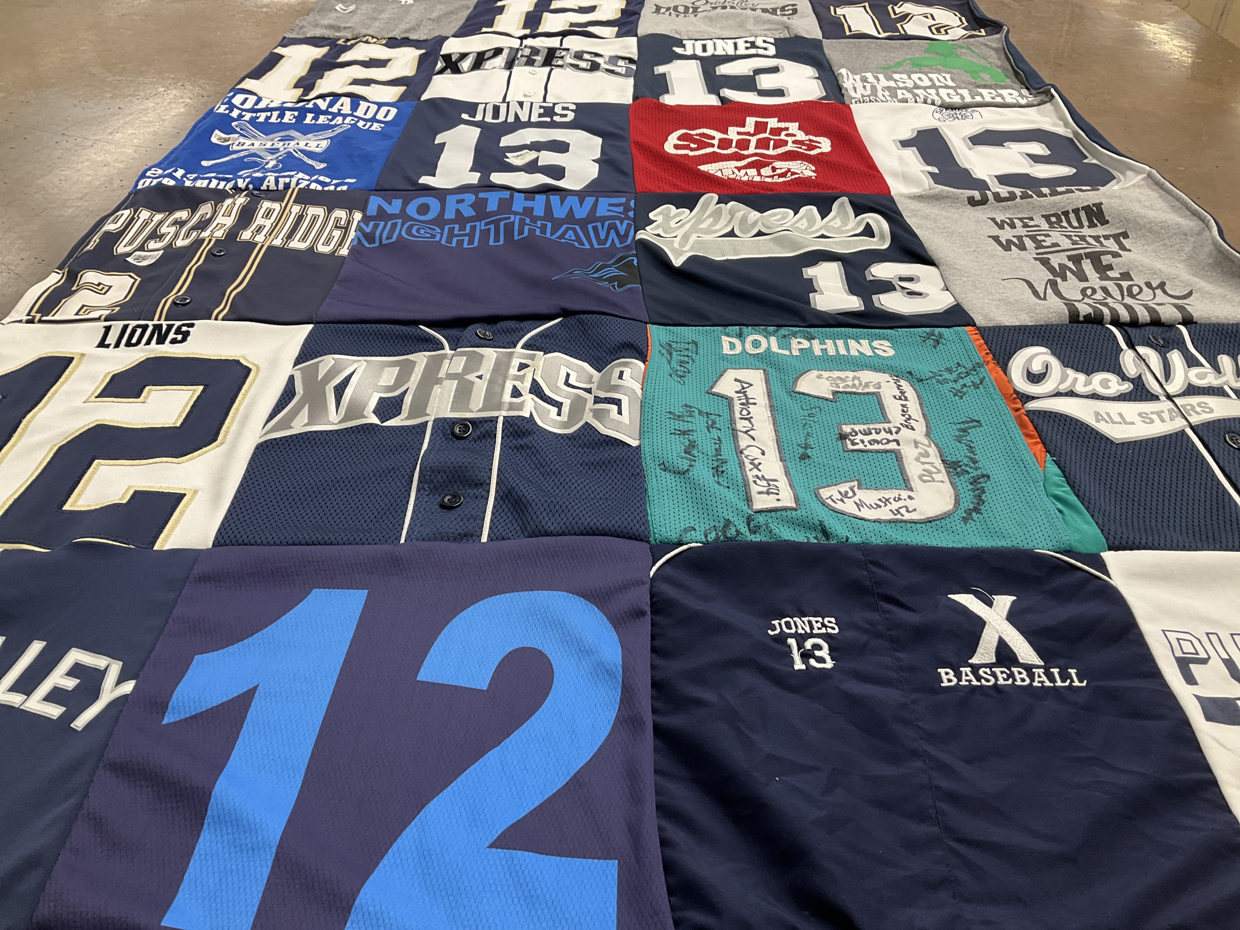 T-shirt quilt featuring lions, dolphins by Bobbi from AZ