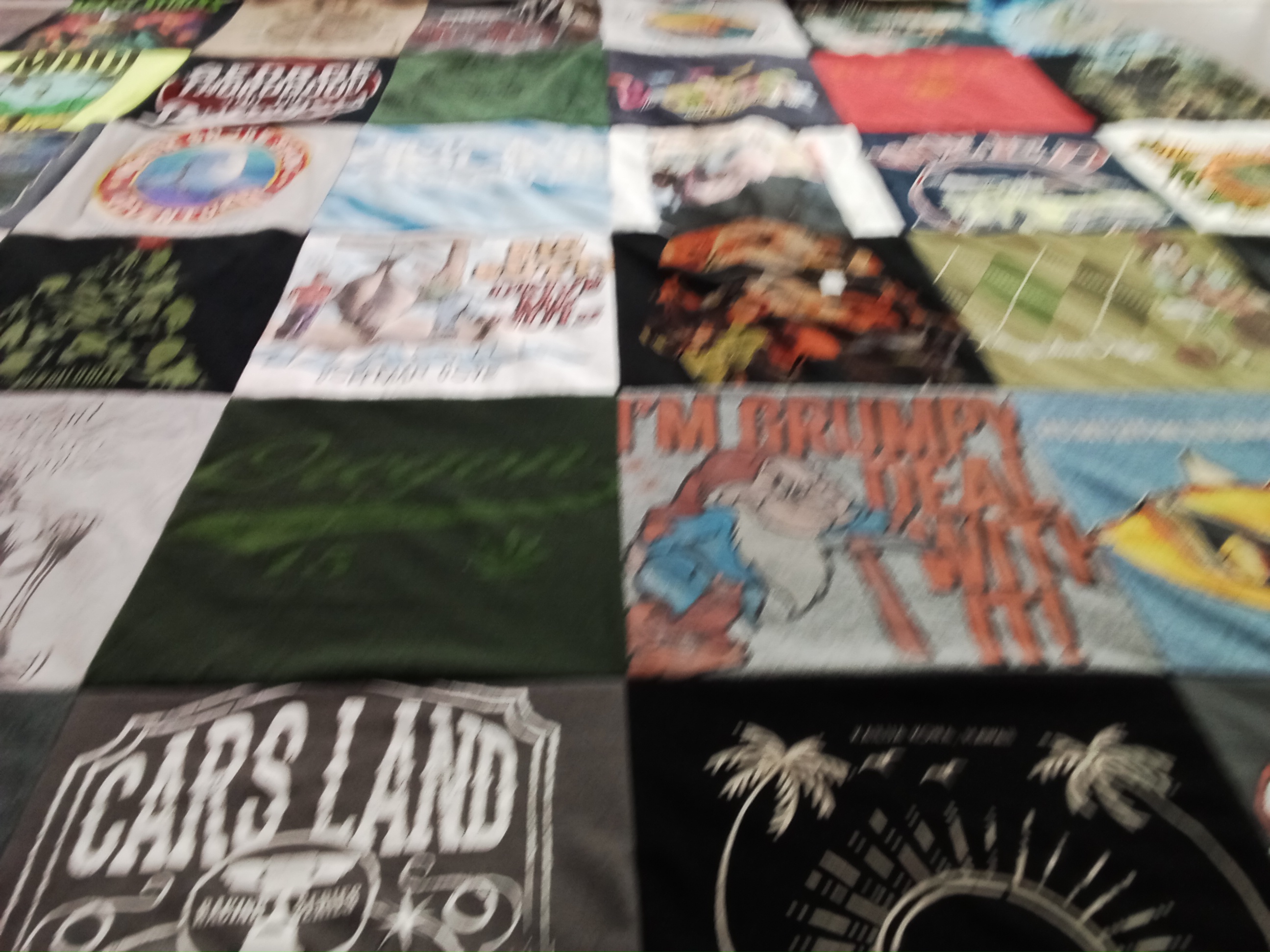 T-shirt quilt with outdoors, amusement parks themes by Nancy from OR