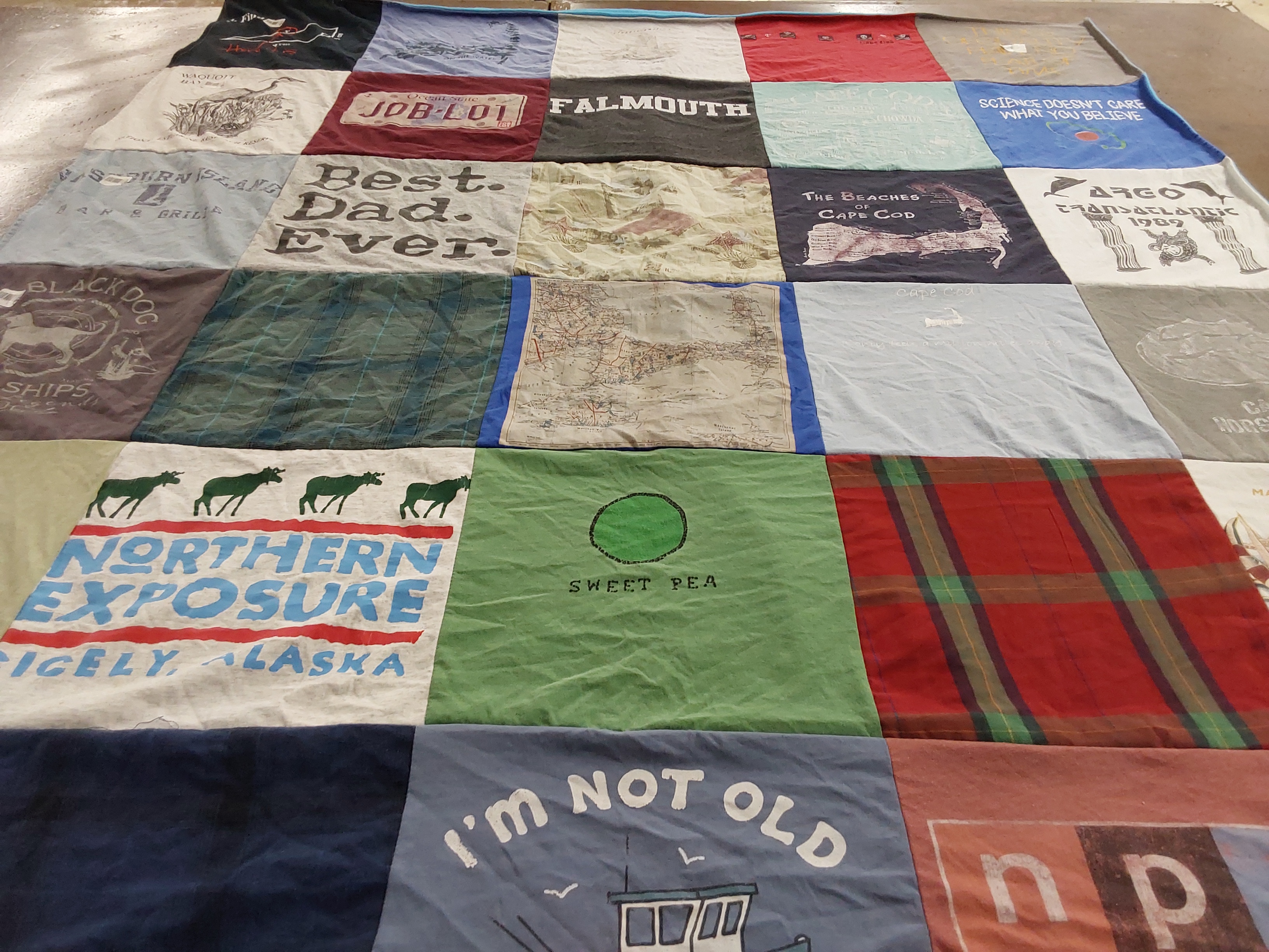 T-shirt quilt with travel, family themes by margo from NY