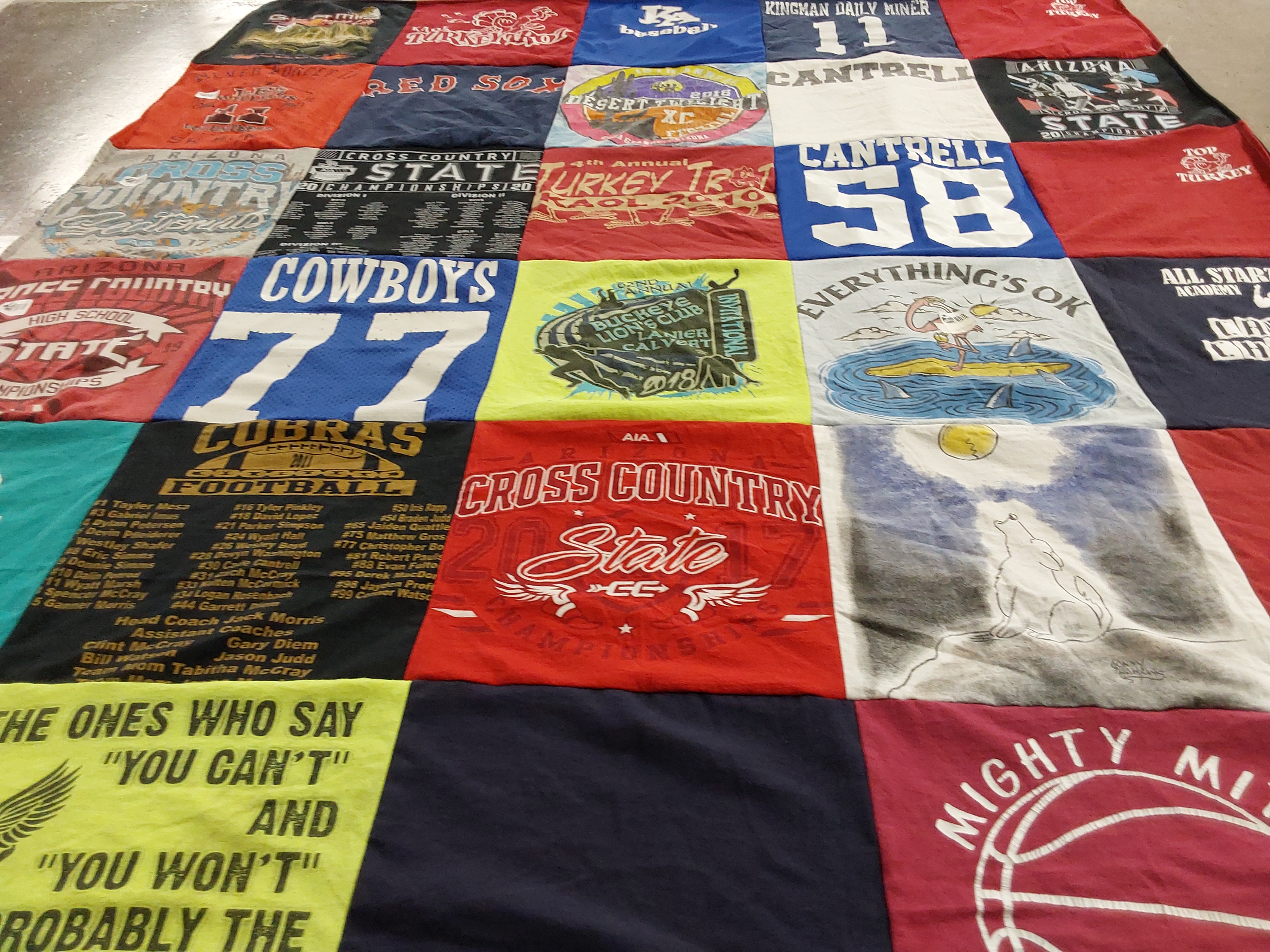 T-shirt quilt featuring cobras football team by Linda from AZ