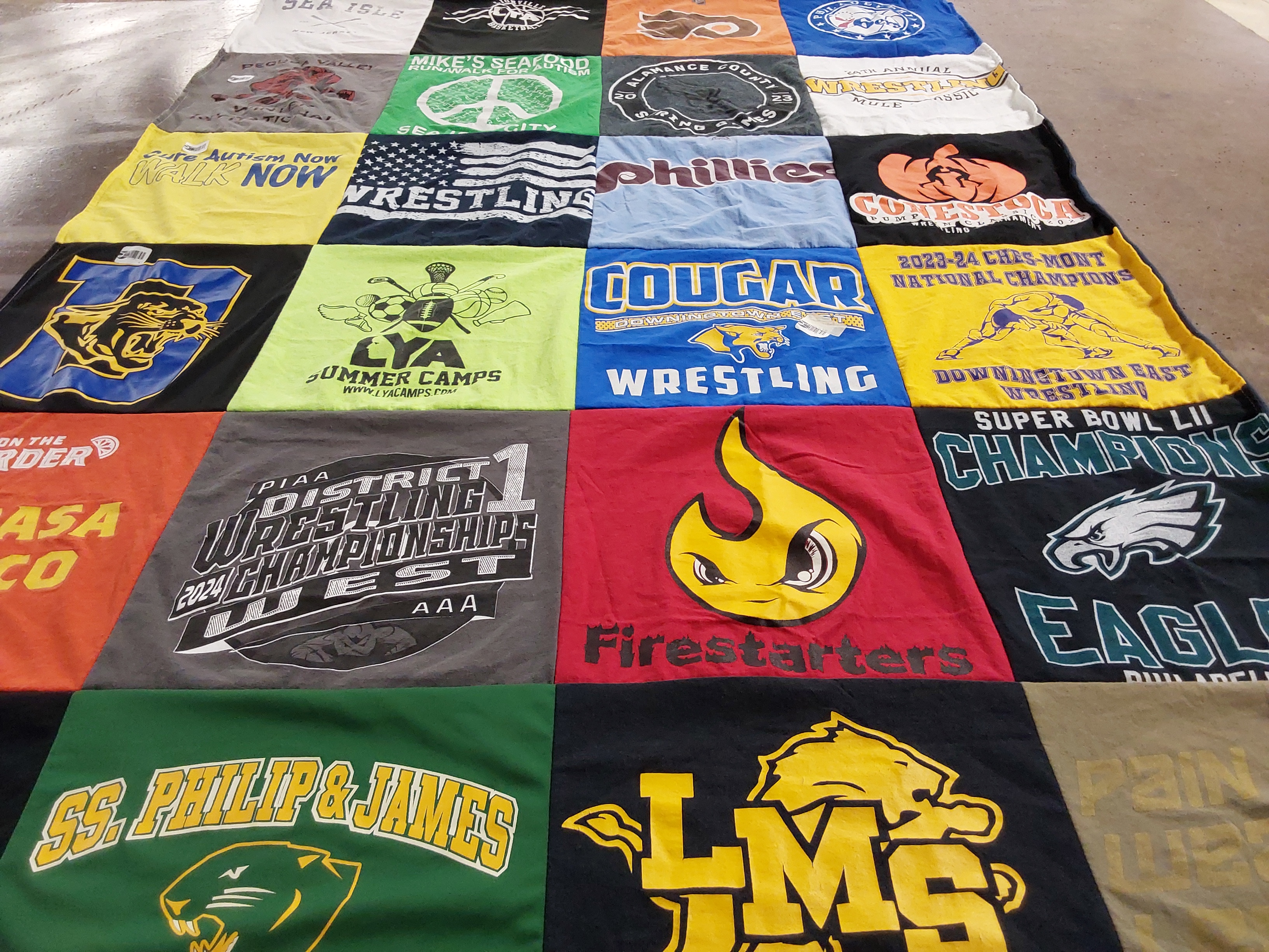 T-shirt quilt featuring eagles, cougar wrestling by Tara from PA