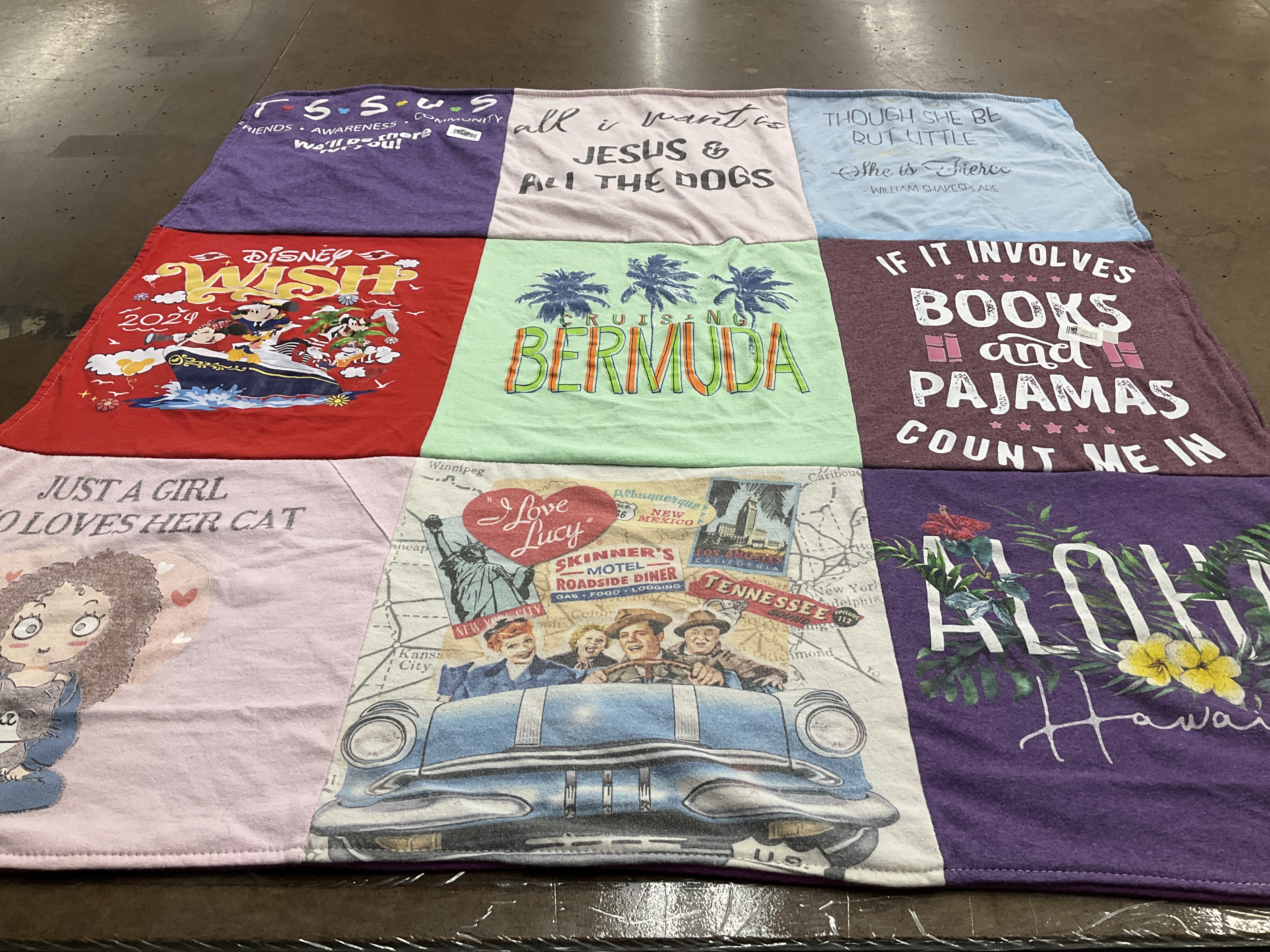 T-shirt quilt with disney, cats themes by Mindy from NY