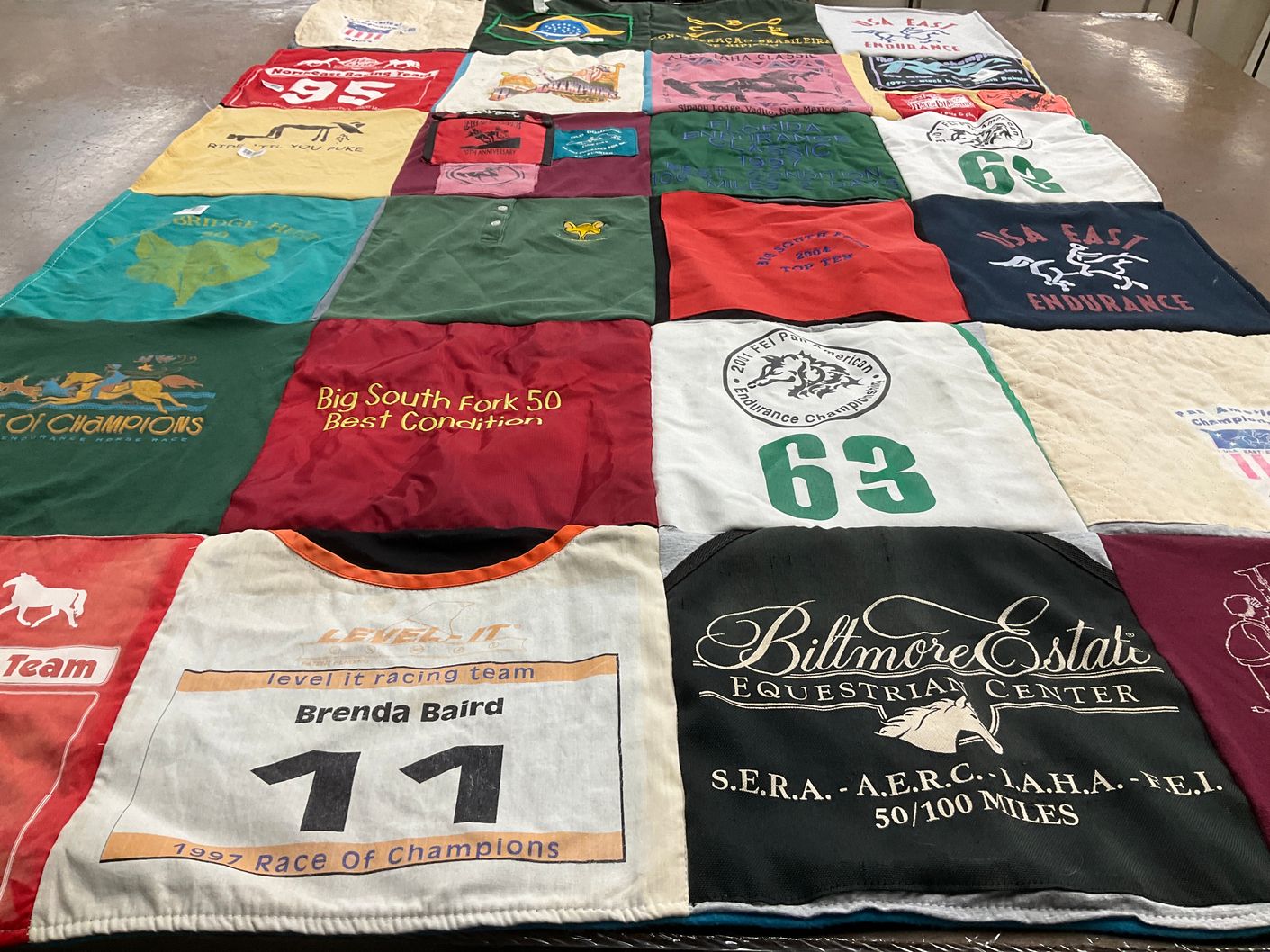 T-shirt quilt with endurance, horse racing themes by Brenda from VA
