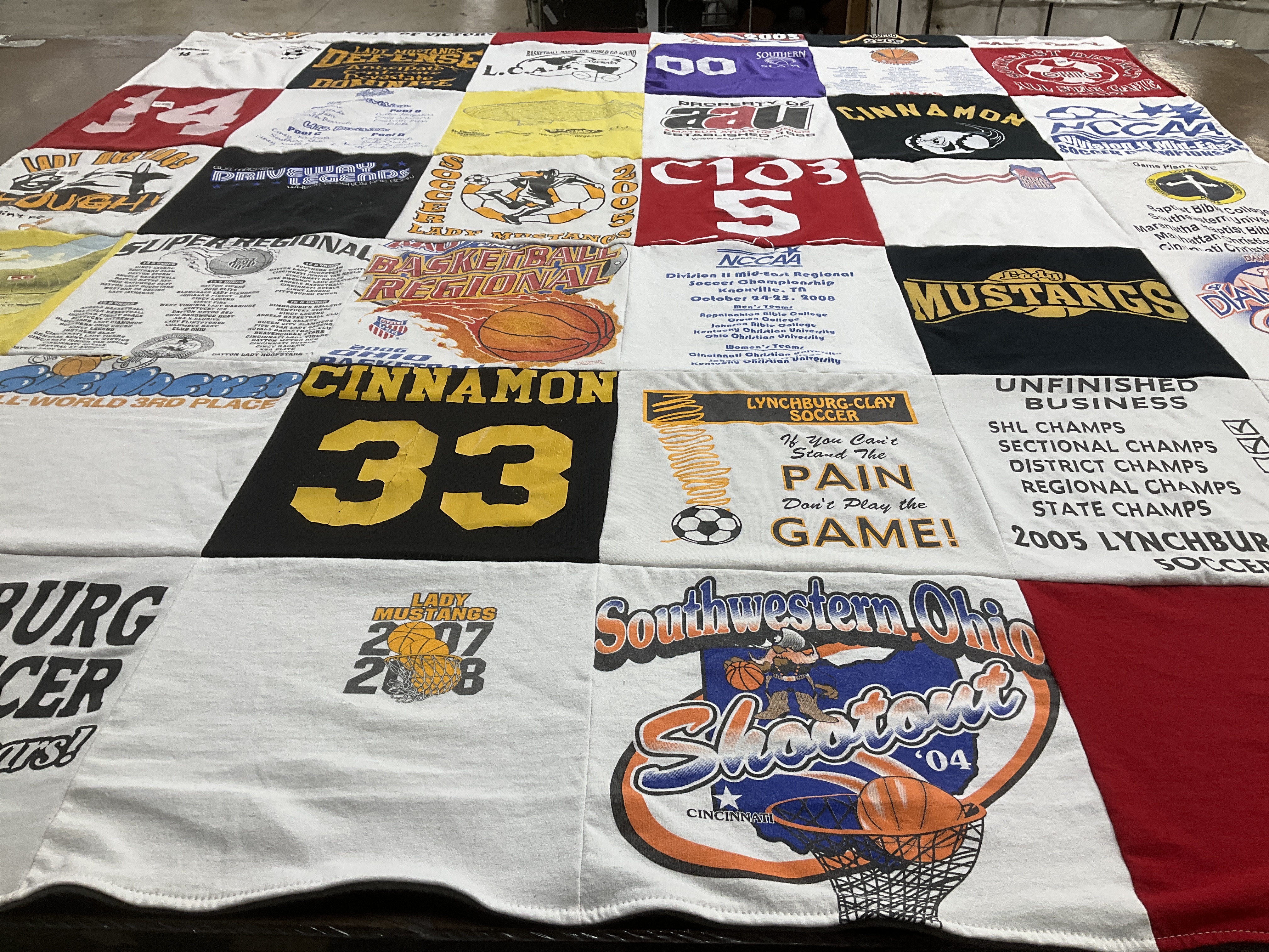 T-shirt quilt featuring lady mustangs, mustangs by Beverly from OH