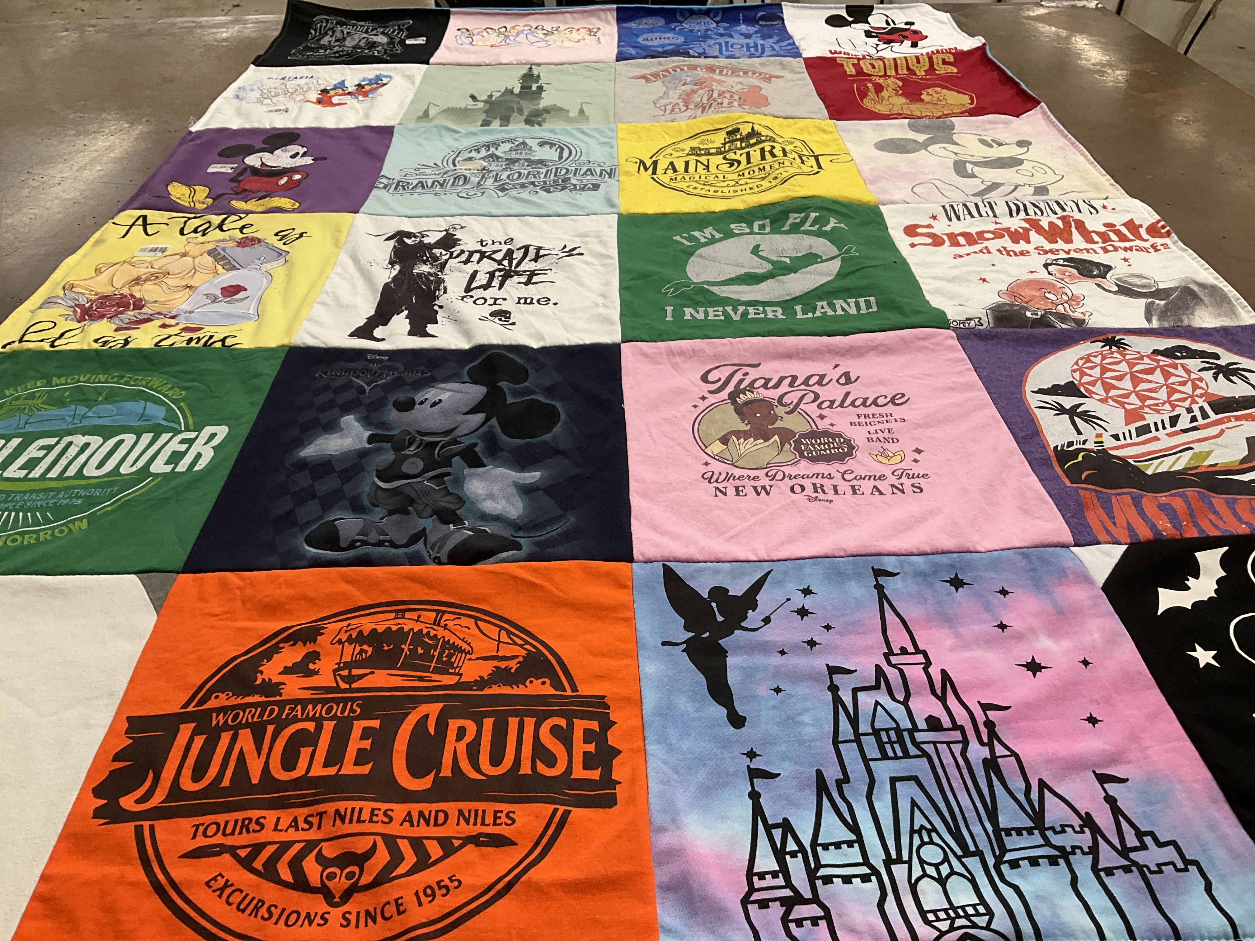 T-shirt quilt with disney, travel themes by Karen from NJ