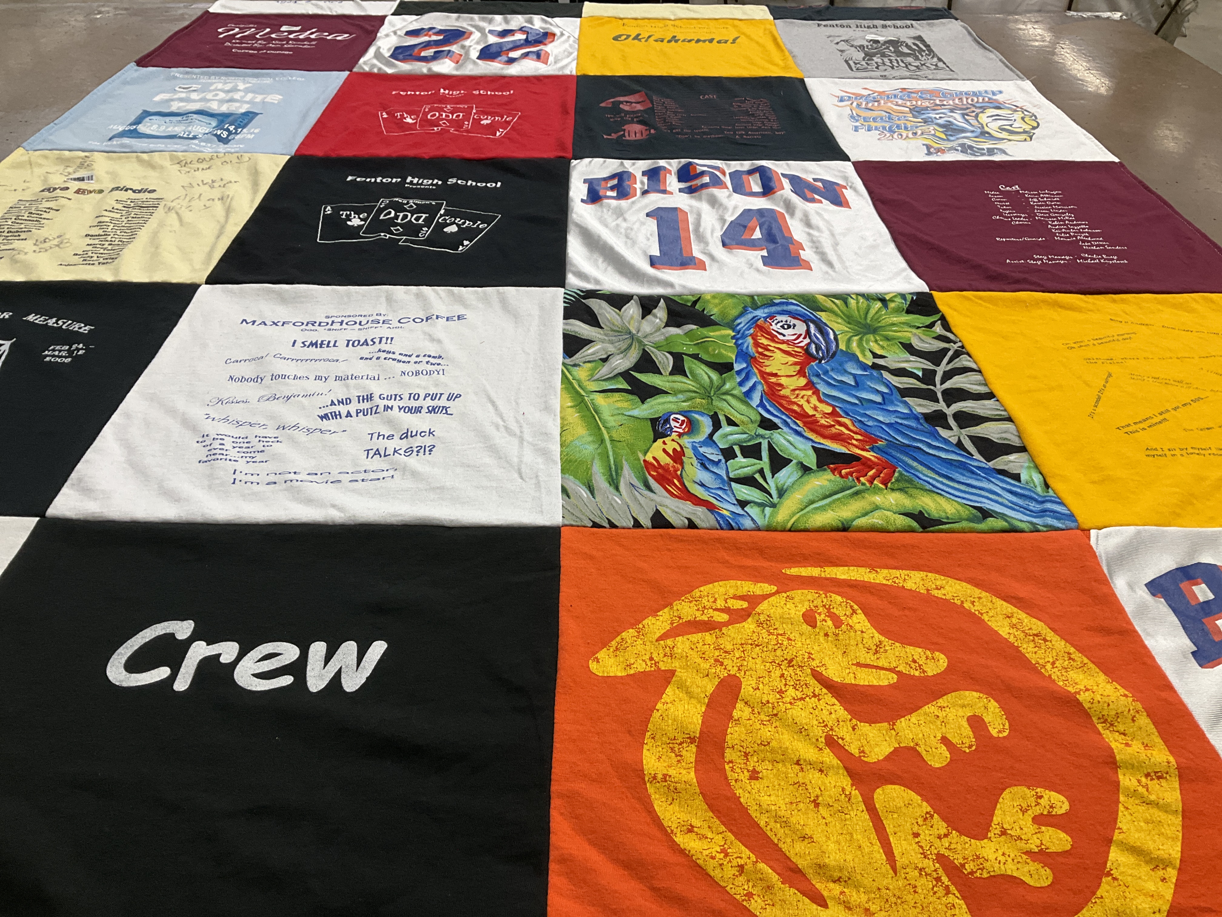 T-shirt quilt featuring bison by mary from IL