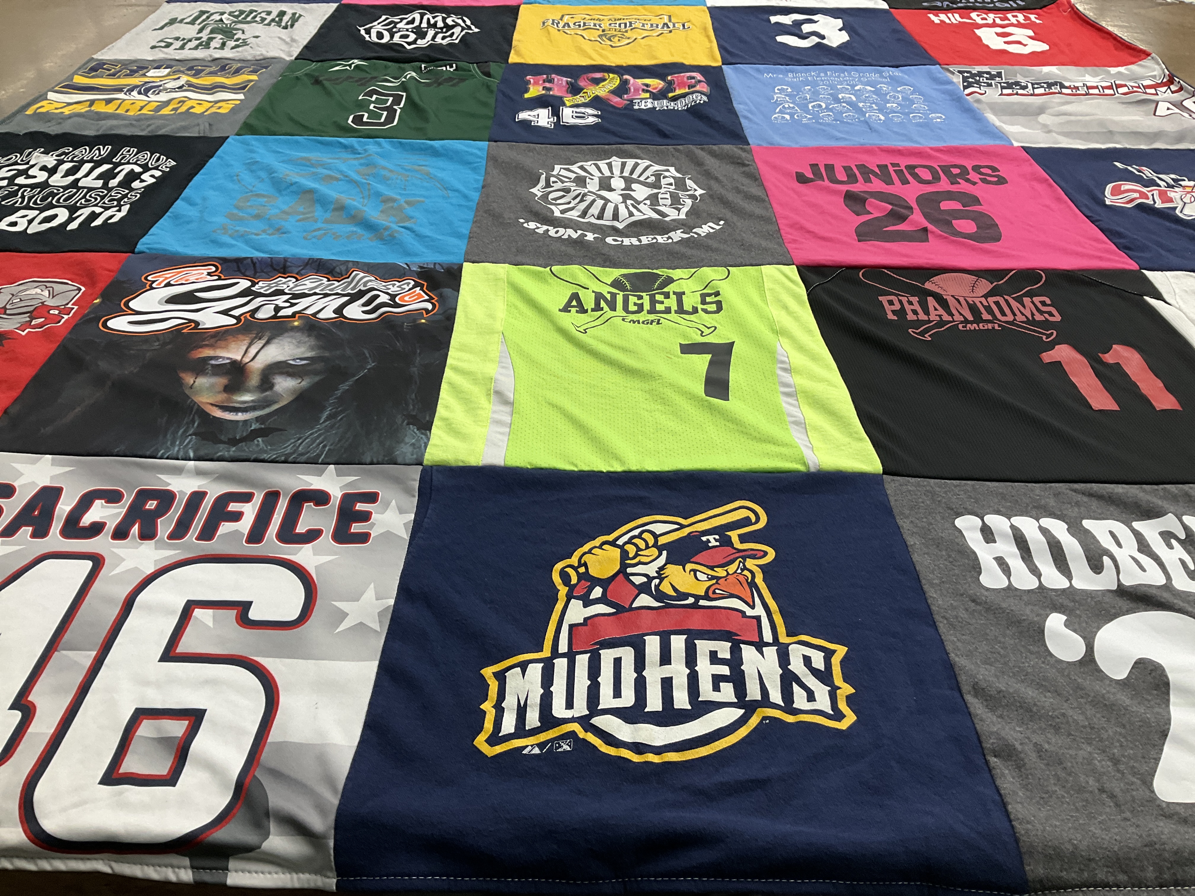 T-shirt quilt featuring mudhens by Ann from MI