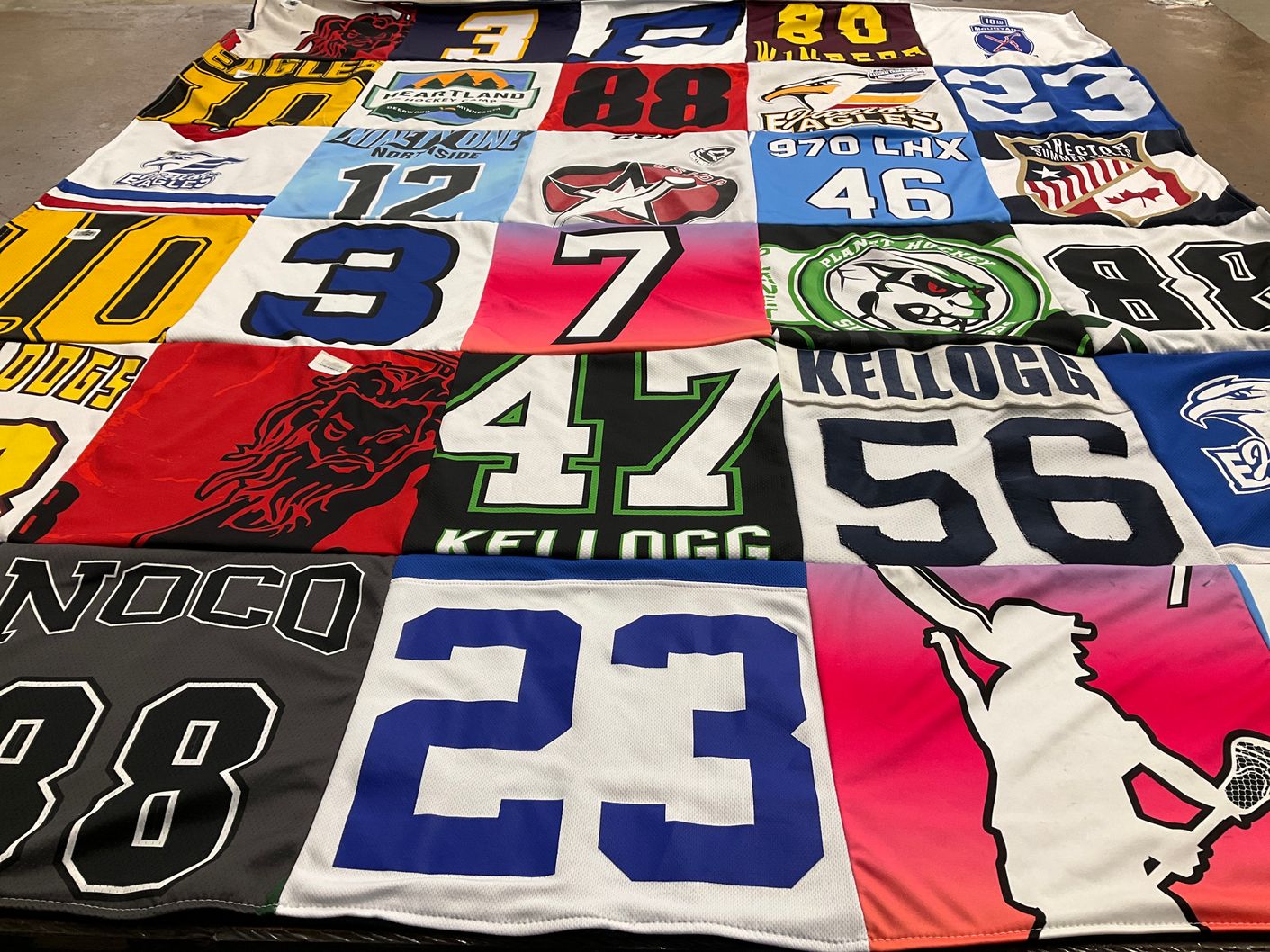 T-shirt quilt featuring eagles by Mary Lucy from CO