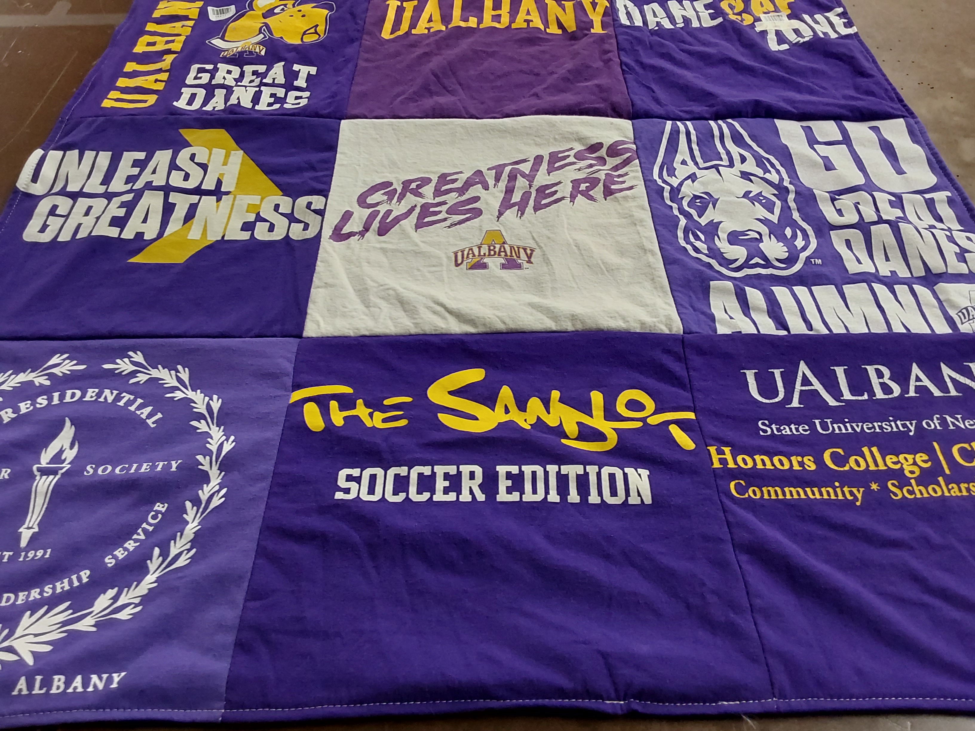 T-shirt quilt featuring great danes by Serena from VA